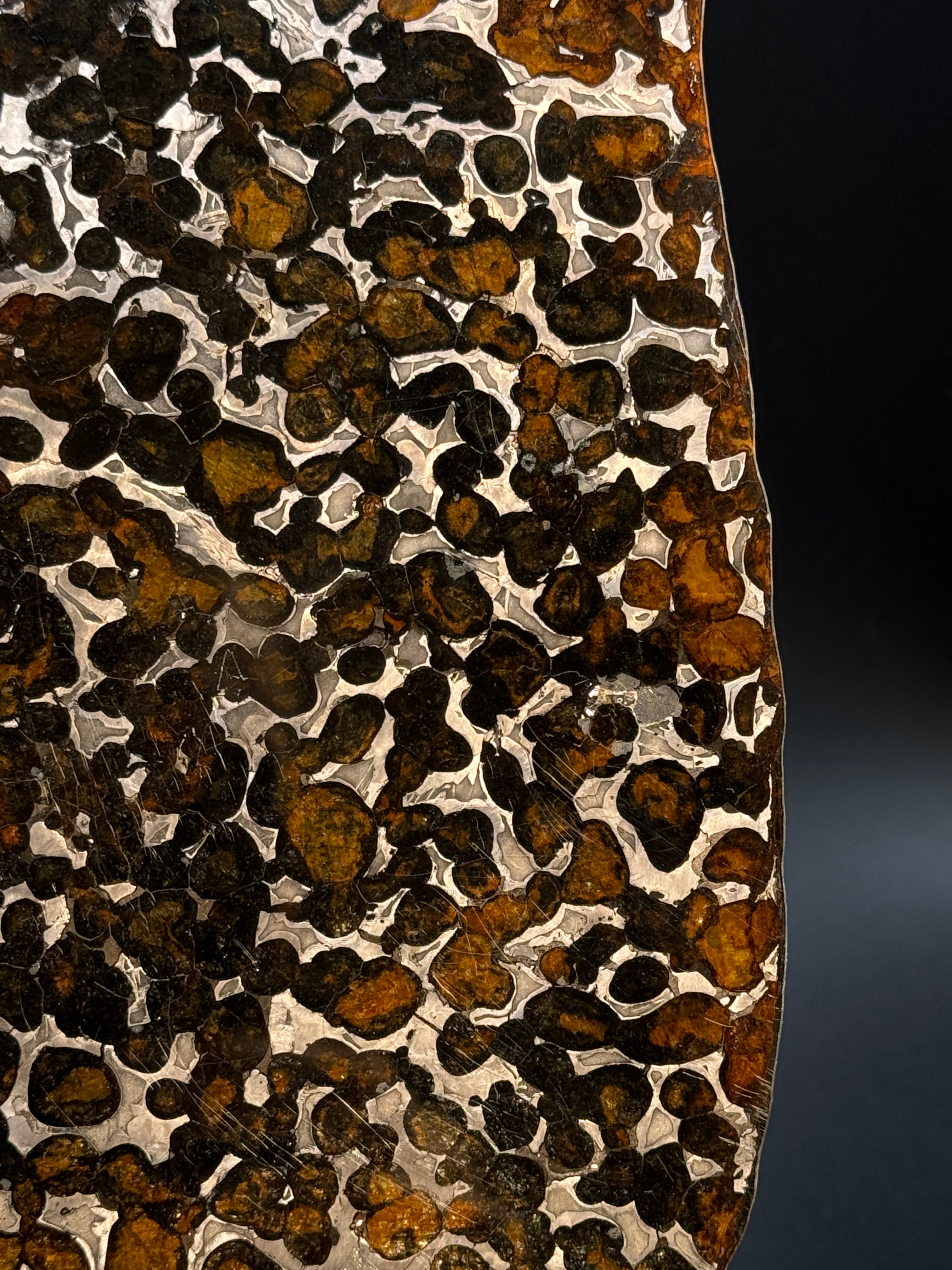 SERICHO METEORITE, KENYA. 97 GRAMS SLICE