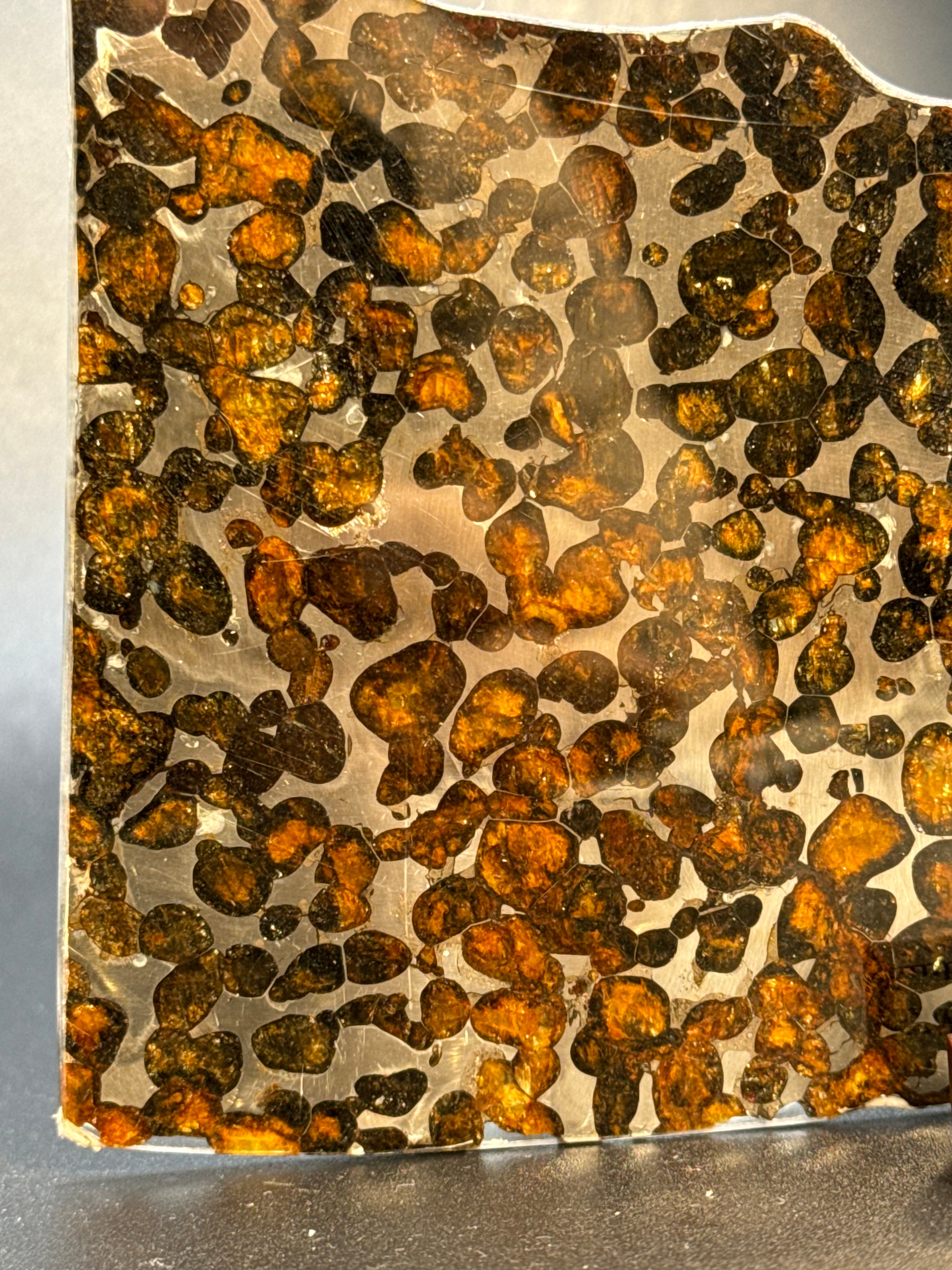 SERICHO METEORITE, KENYA. 66 GRAMS SLICE