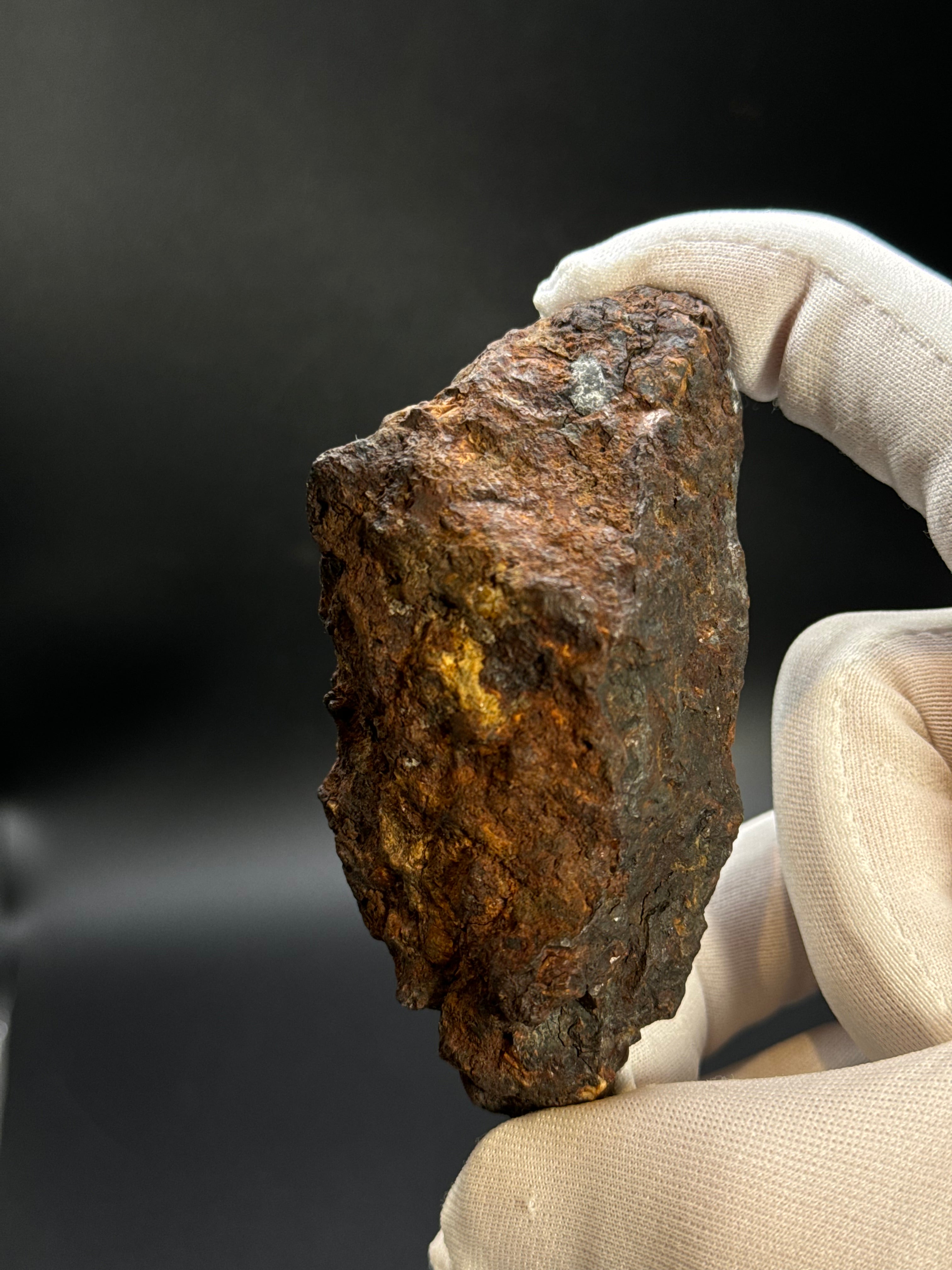 Sericho pallasite meteorite, Kenya. 180,4 grams end-cut.