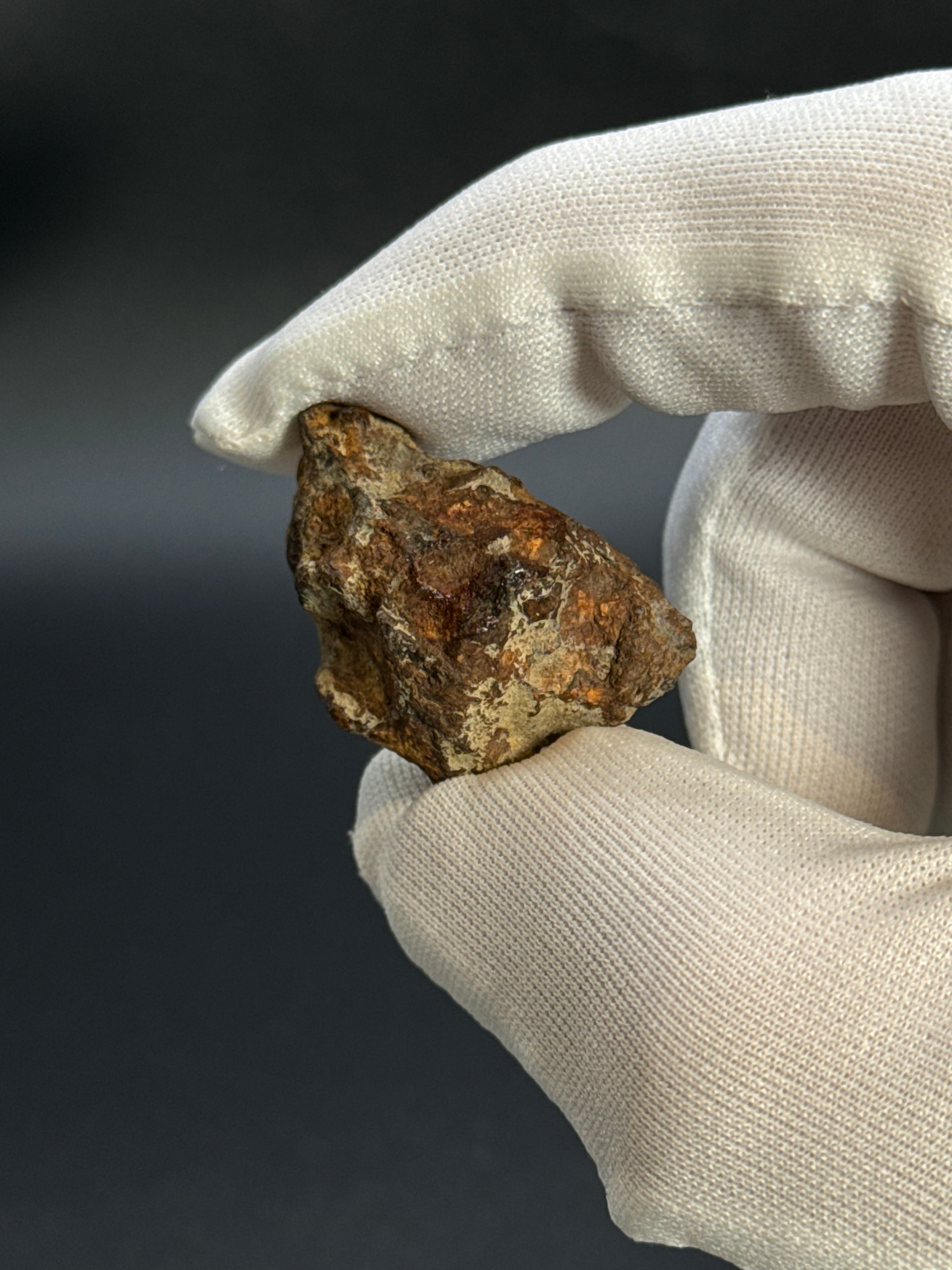 SERICHO PALLASITE METEORITE, KENYA. 12,03 GRAMS END-CUT