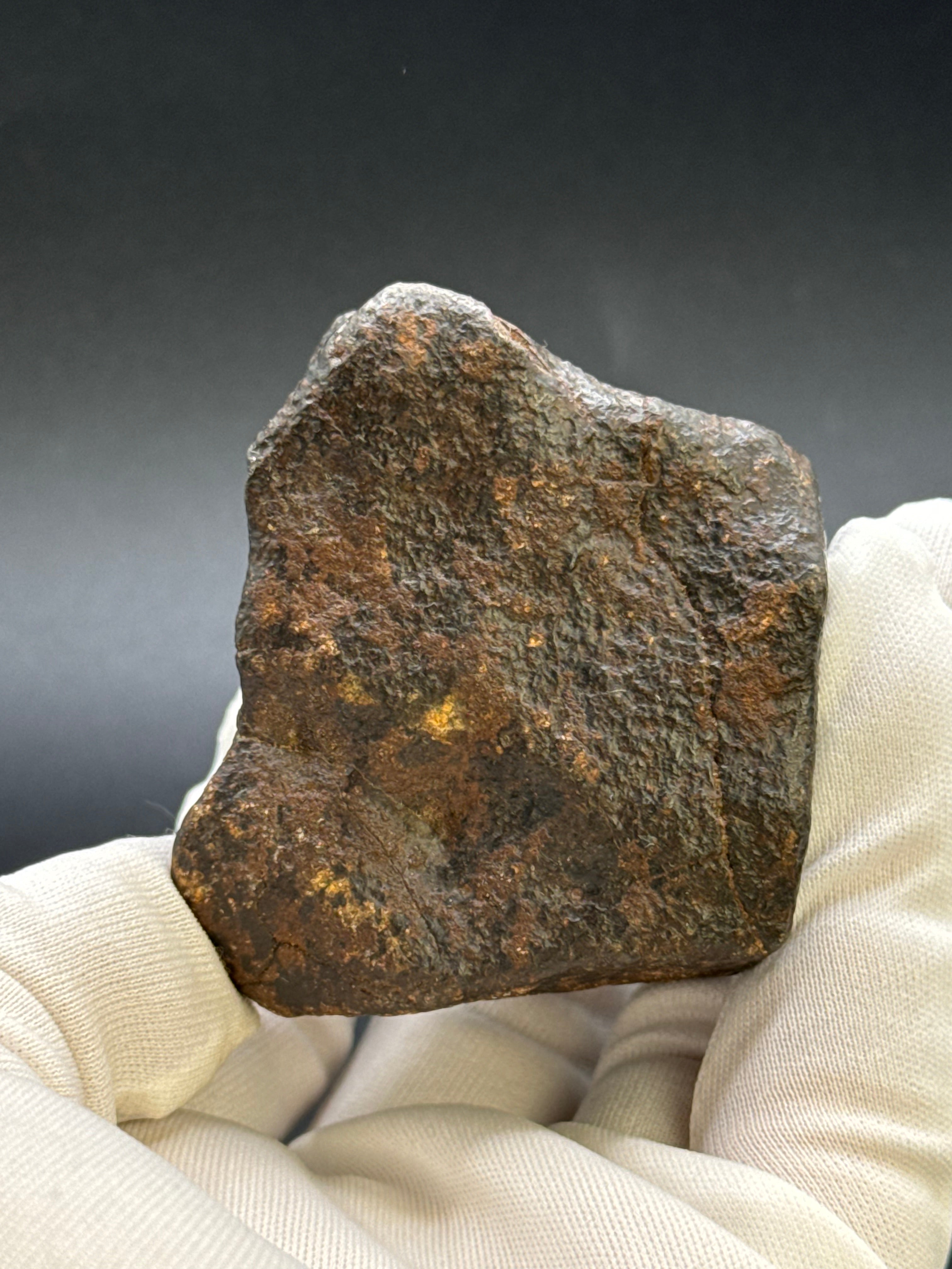 CHONDRITE METEORITE, NORTH WEST AFRICA. 263 GRAMS.