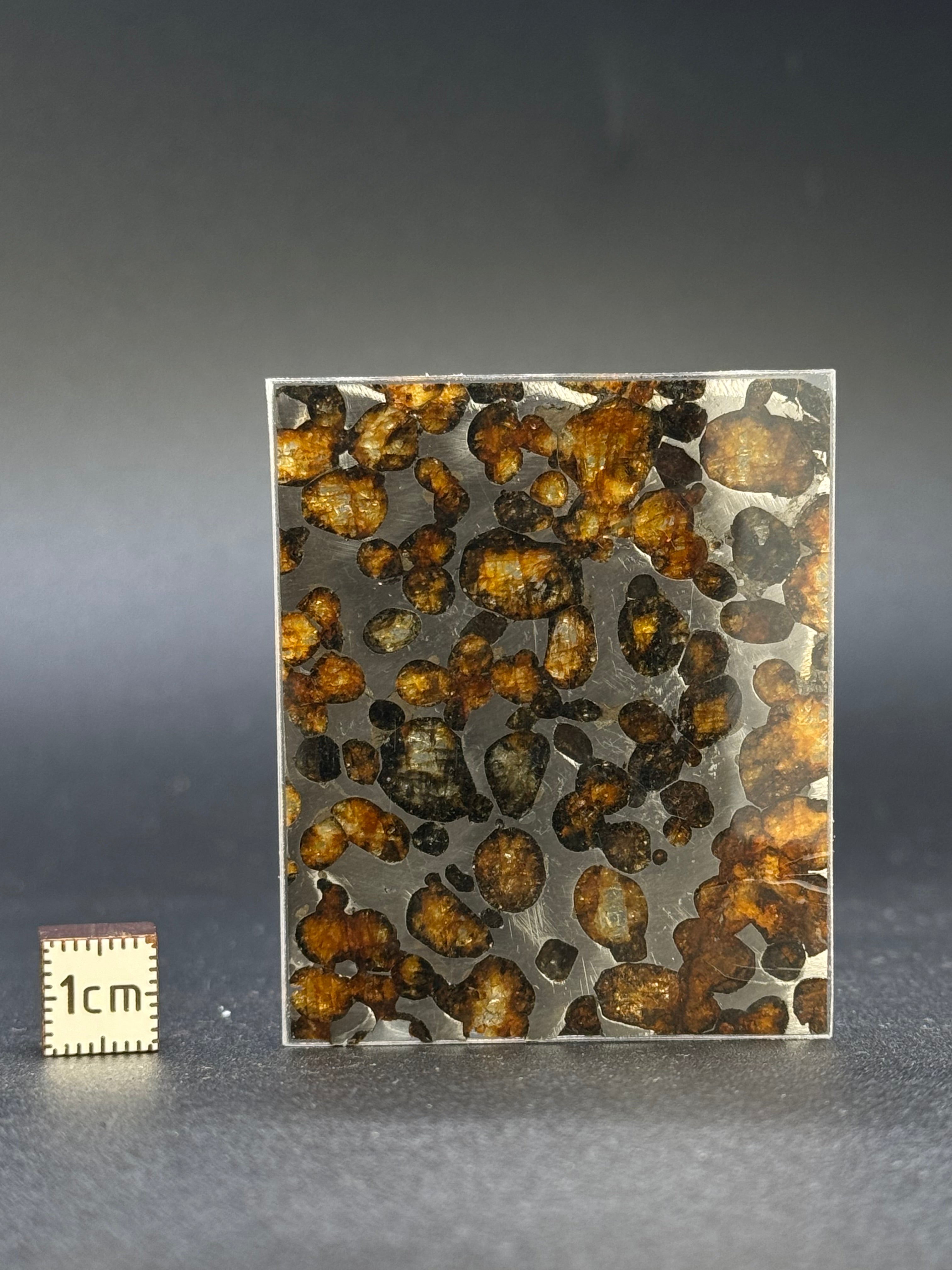 SERICHO METEORITE, KENYA. 13,5 GRAMS.