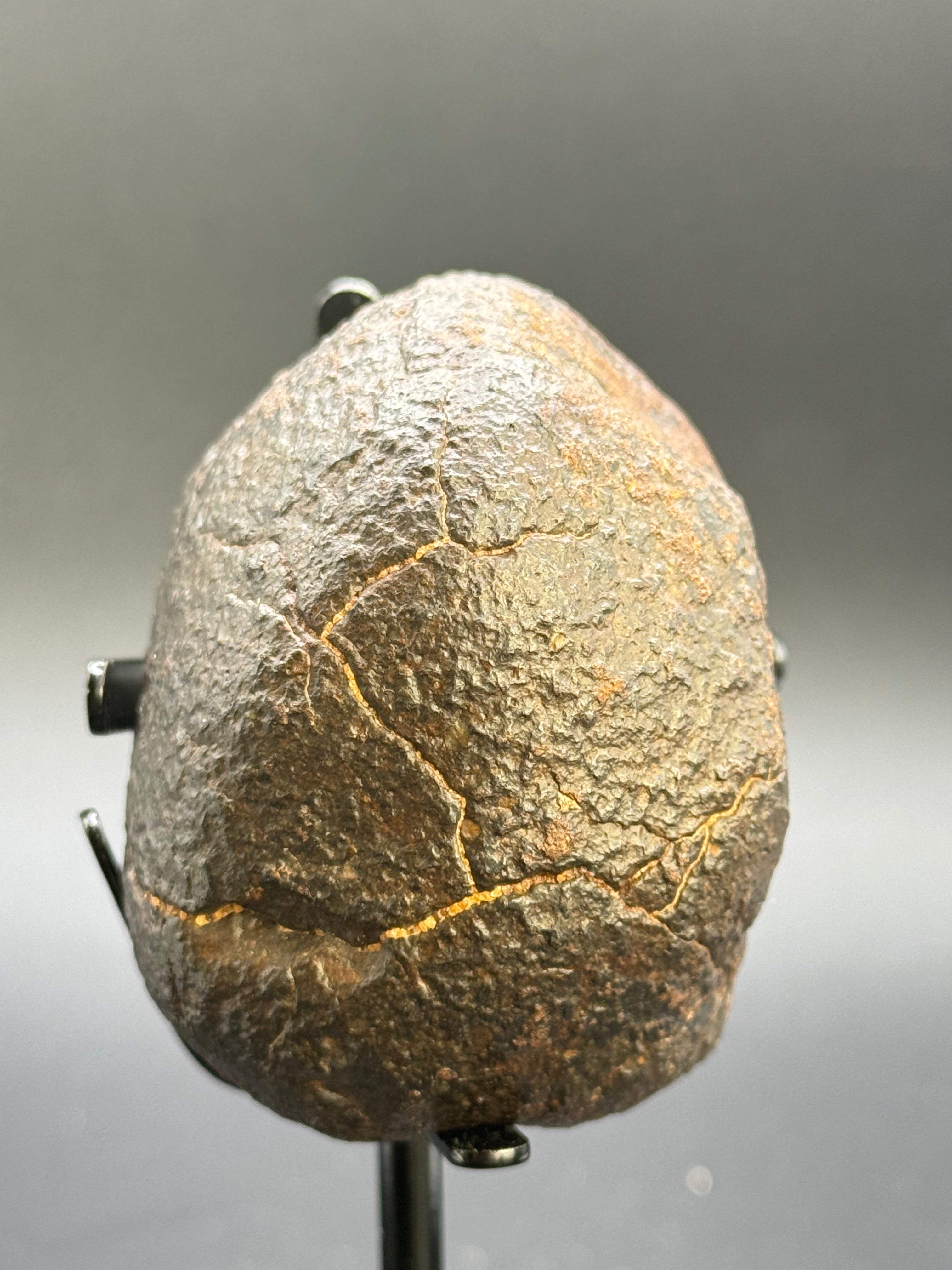 CHONDRITE METEORITE, NORTH WEST AFRICA. 178 GRAMS.