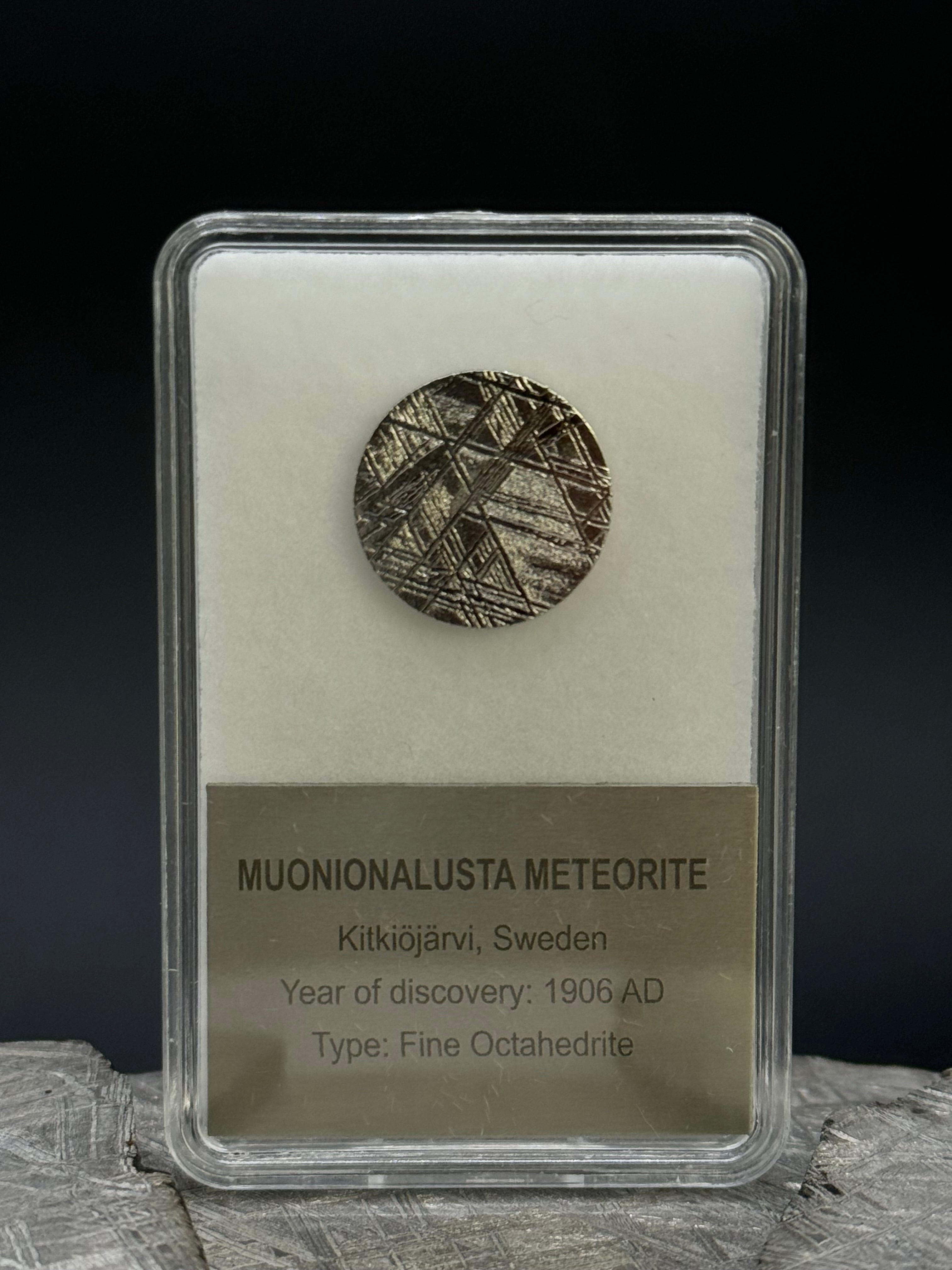 Muonionalusta meteorite, Sweden. Display box. 15mm diameter plate.