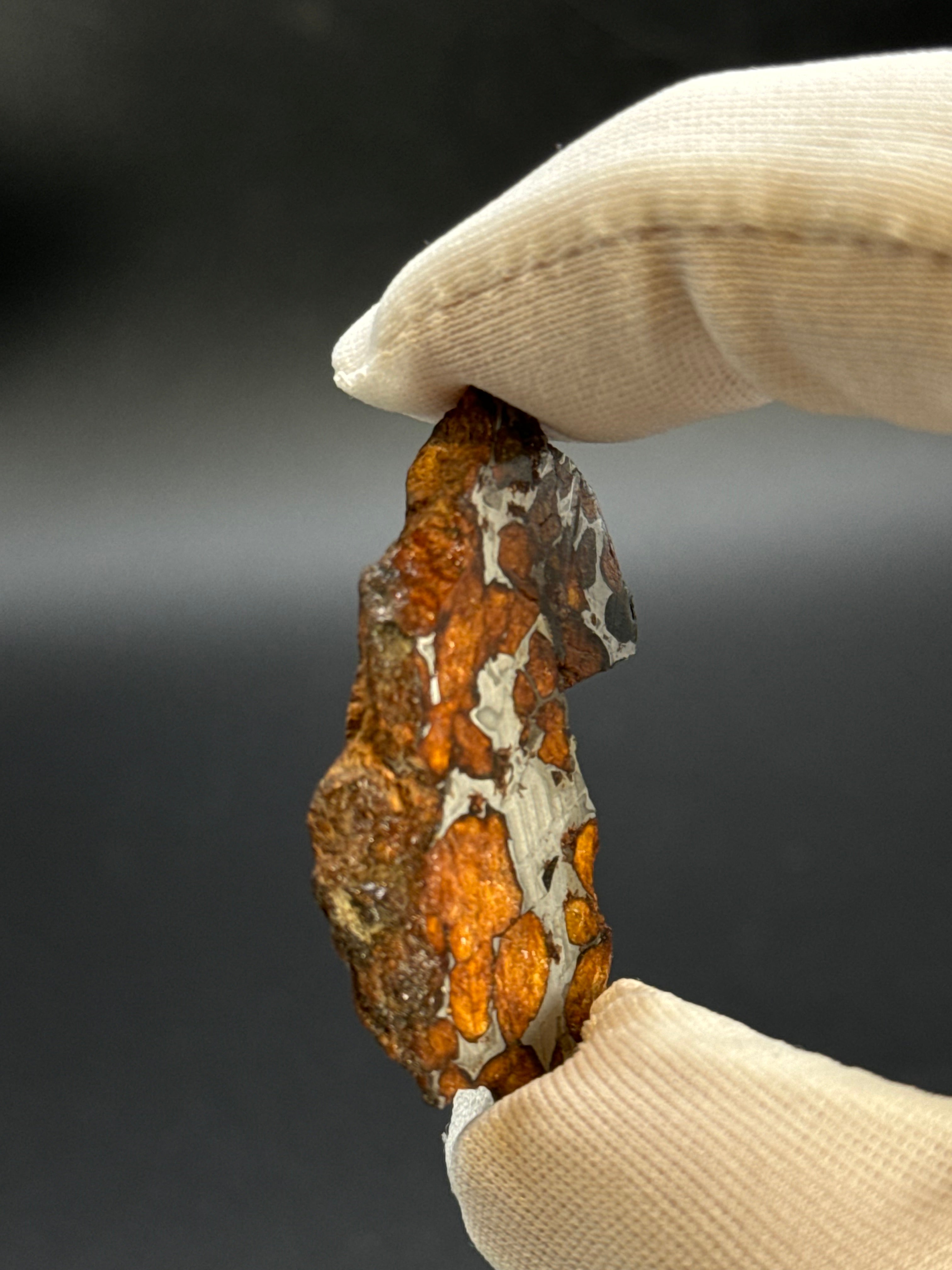 SERICHO PALLASITE METEORITE, KENYA. 15,07 GRAMS END-CUT
