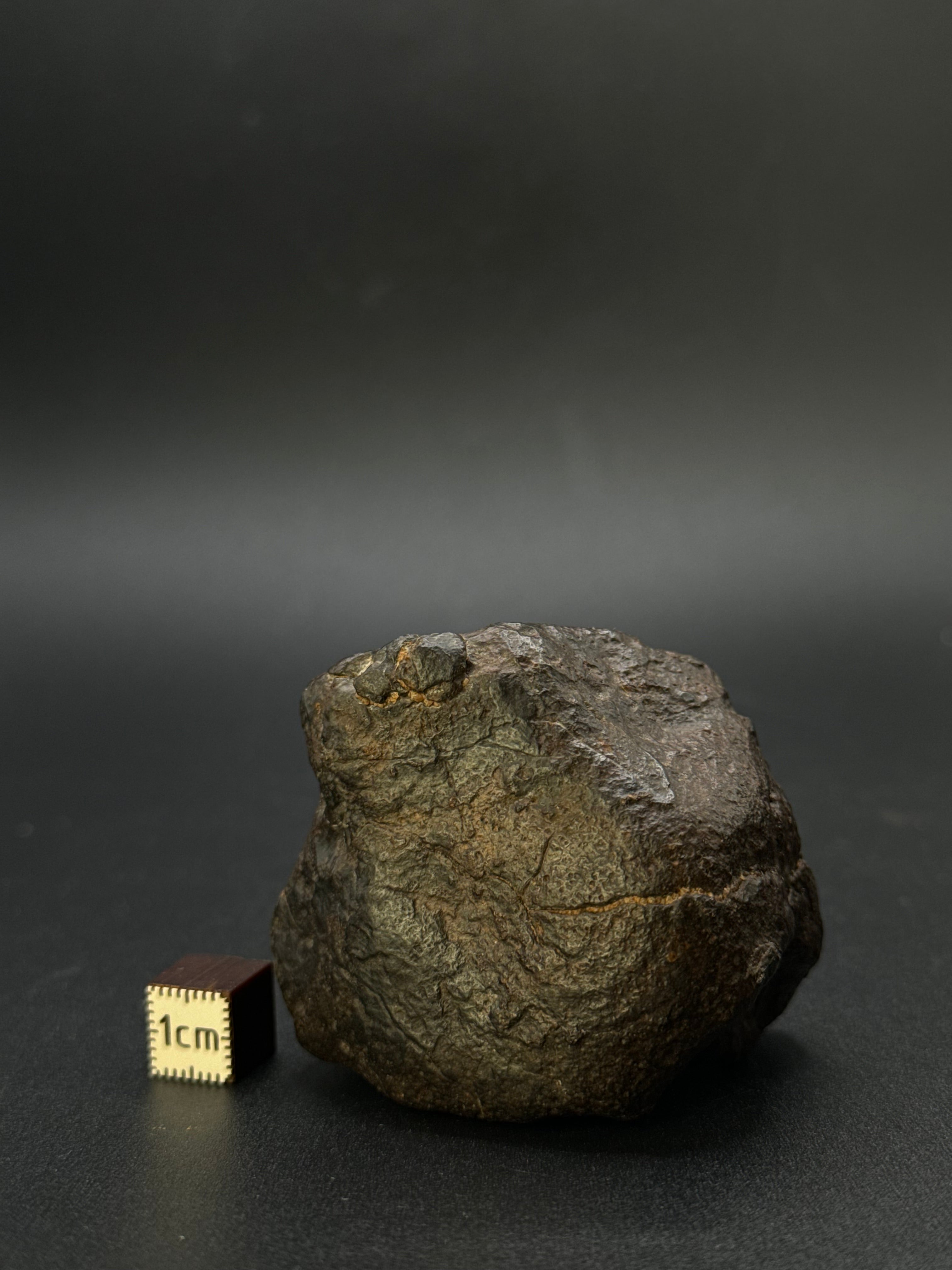 CHONDRITE METEORITE, NORTH WEST AFRICA. 184,6 GRAMS.