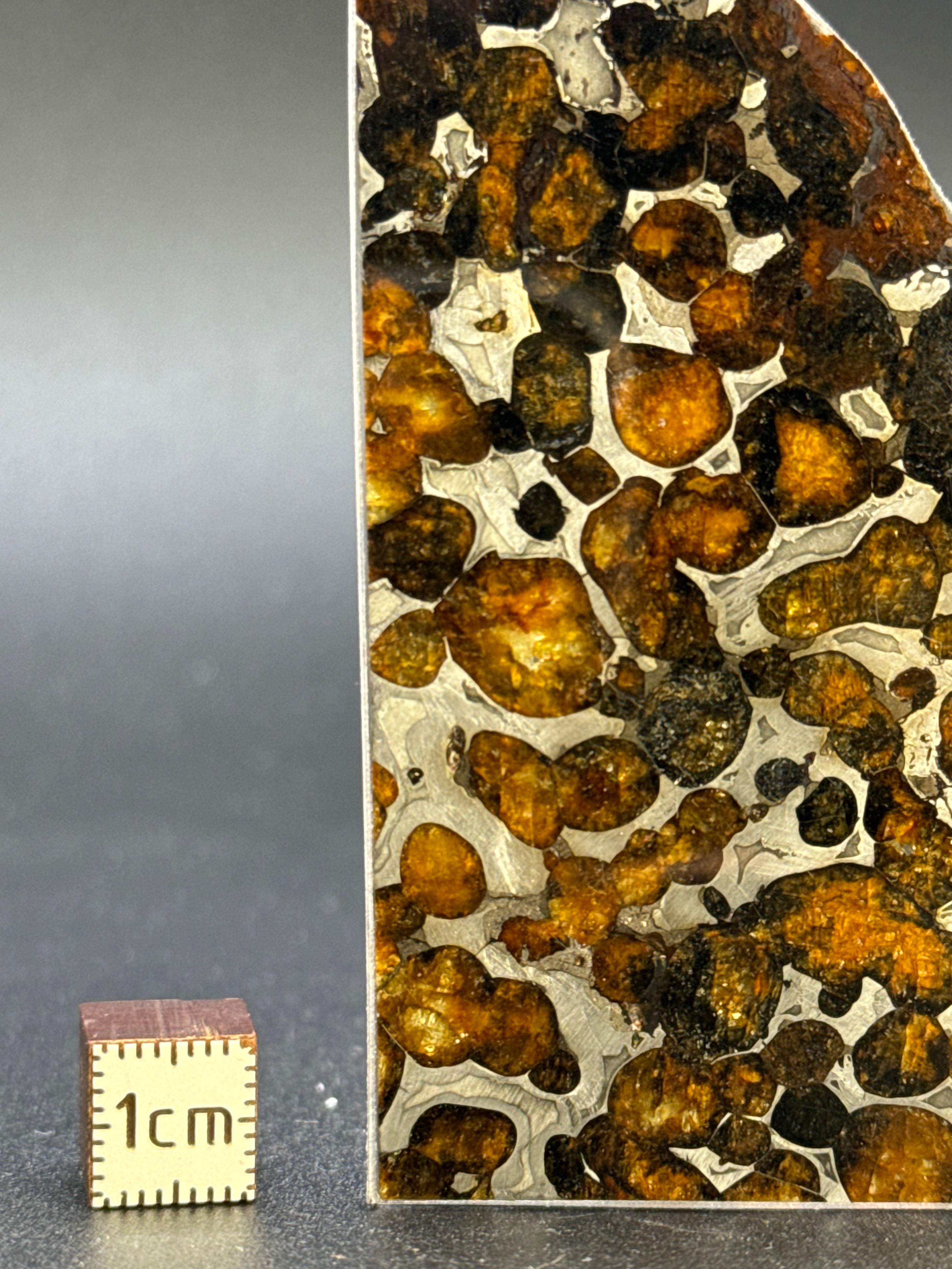 SERICHO METEORITE, KENYA. 23 GRAMS.