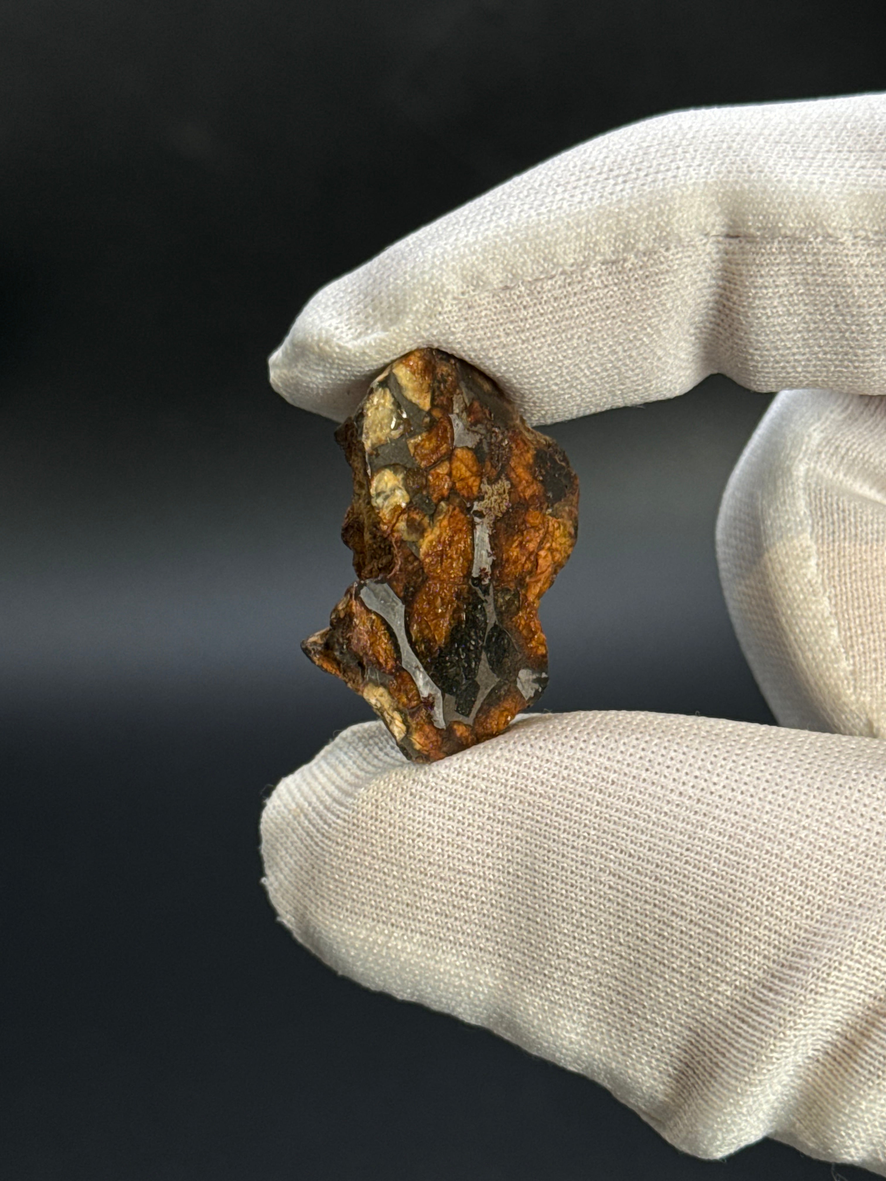 SERICHO PALLASITE METEORITE, KENYA. 7,7 GRAMS END-CUT