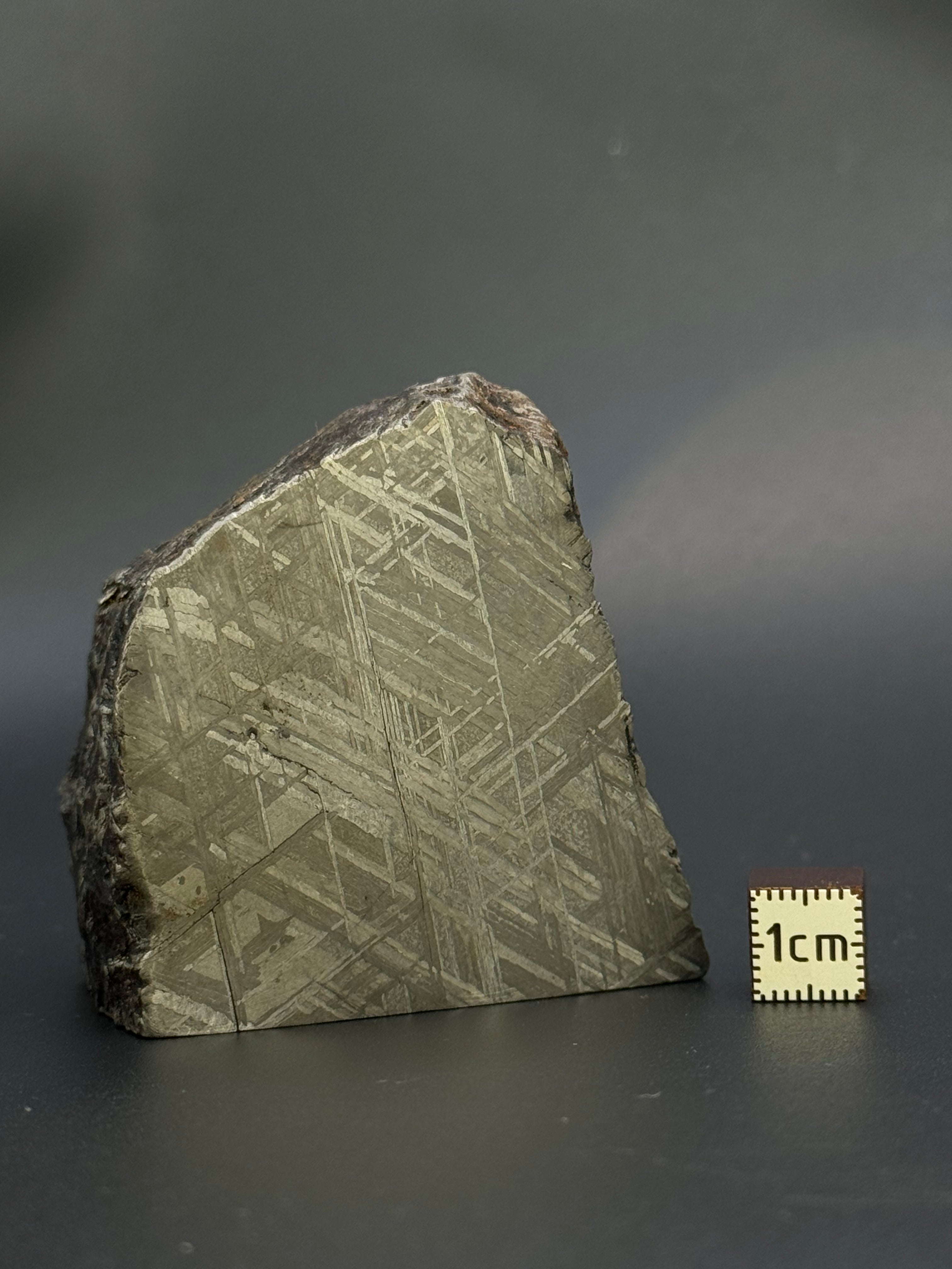 MUONIONALUSTA METEORITE, SWEDEN. 487 GRAMS END-CUT.
