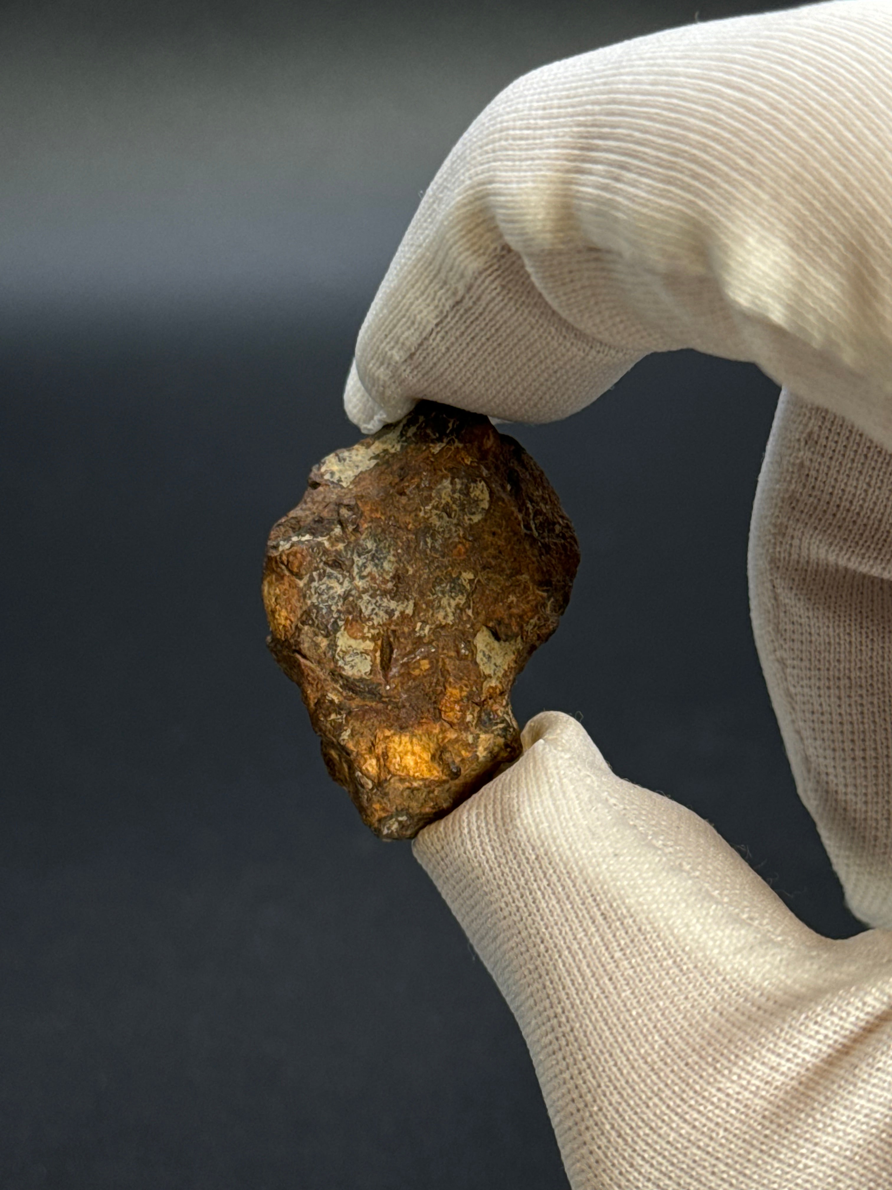 SERICHO PALLASITE METEORITE, KENYA. 10,40 GRAMS END-CUT