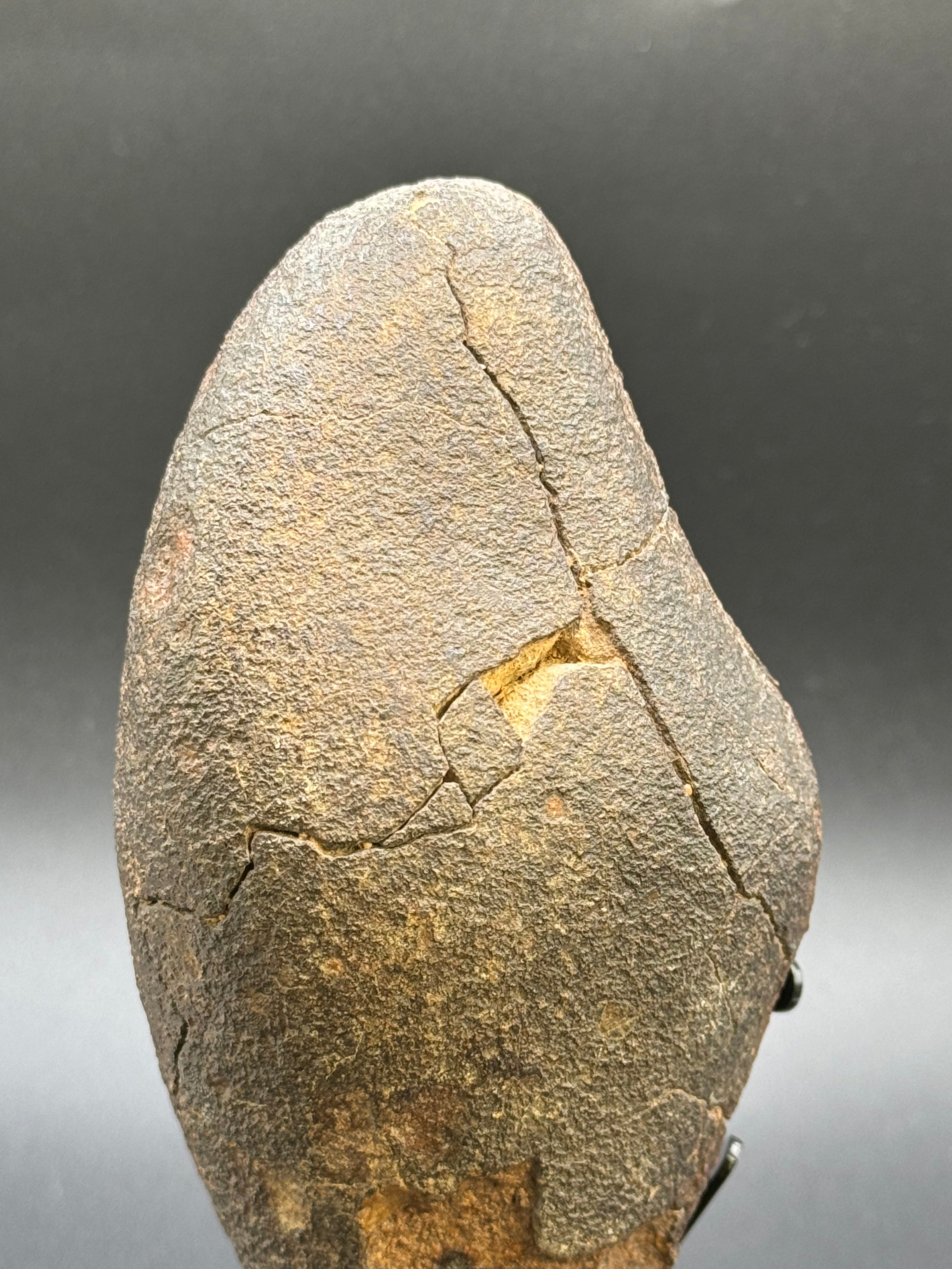 CHONDRITE METEORITE, NORTH WEST AFRICA. 421 GRAMS.
