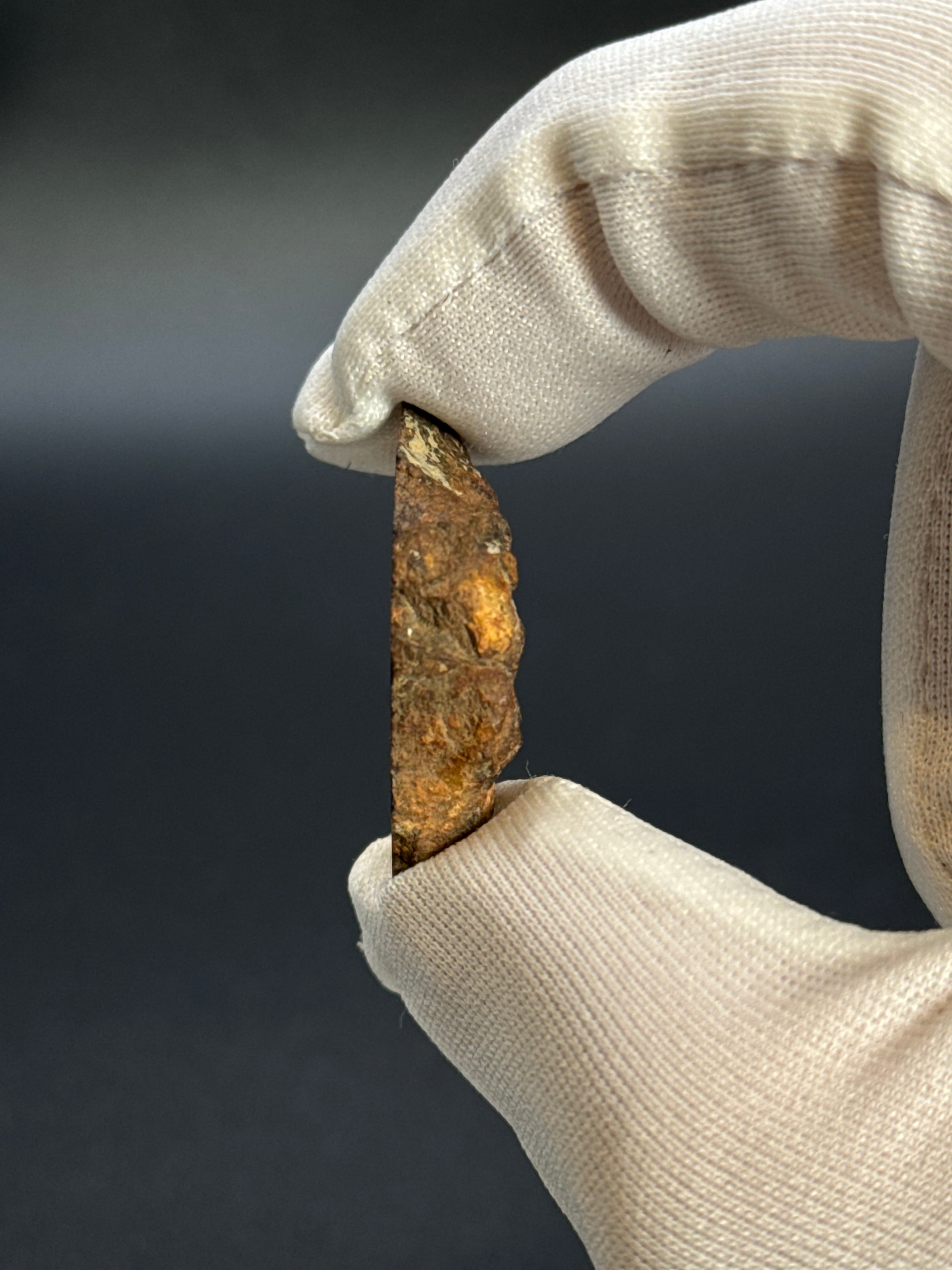 SERICHO PALLASITE METEORITE, KENYA. 10,40 GRAMS END-CUT