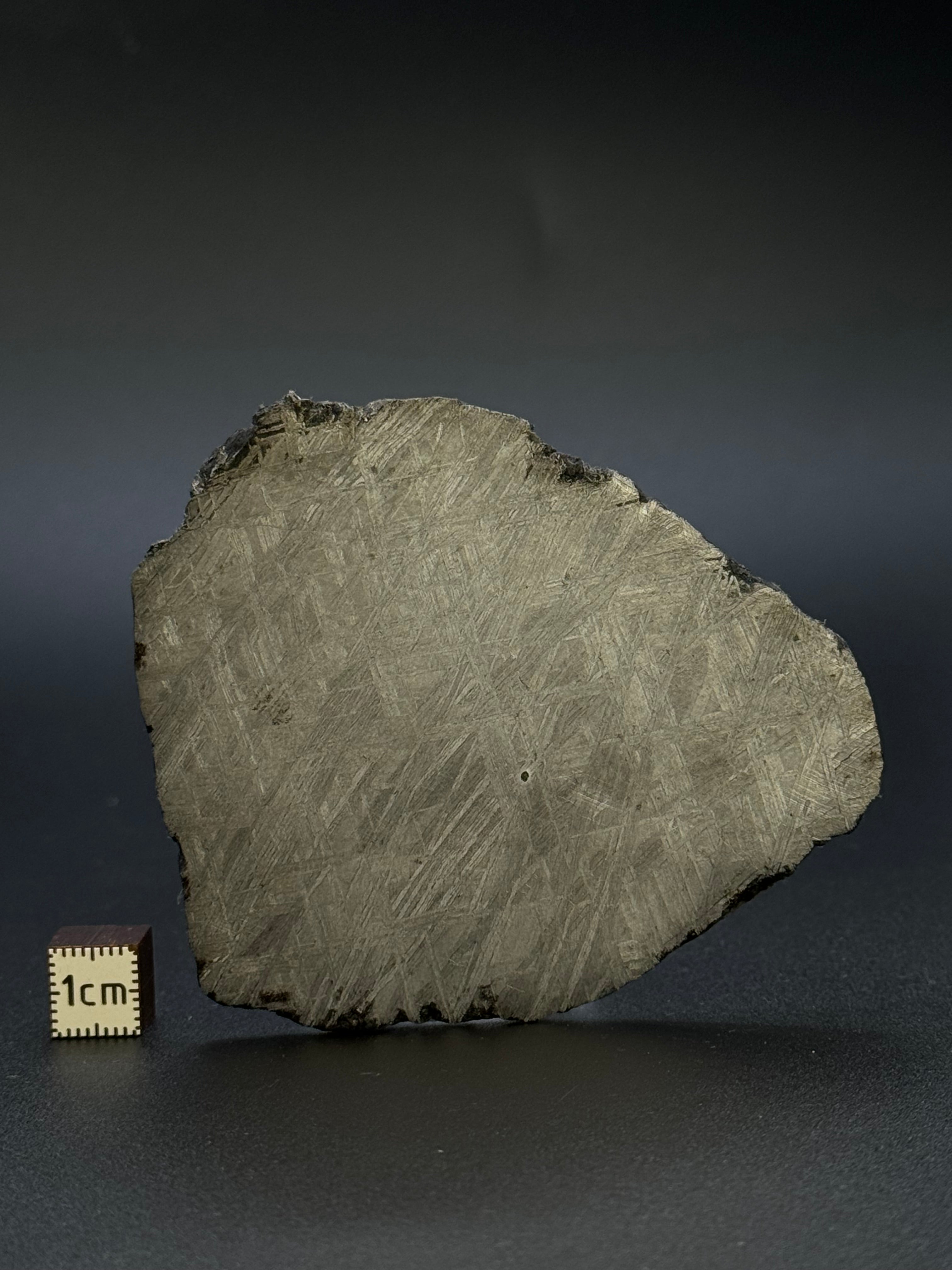MUONIONALUSTA METEORITE, SWEDEN. 92,42 GRAMS.