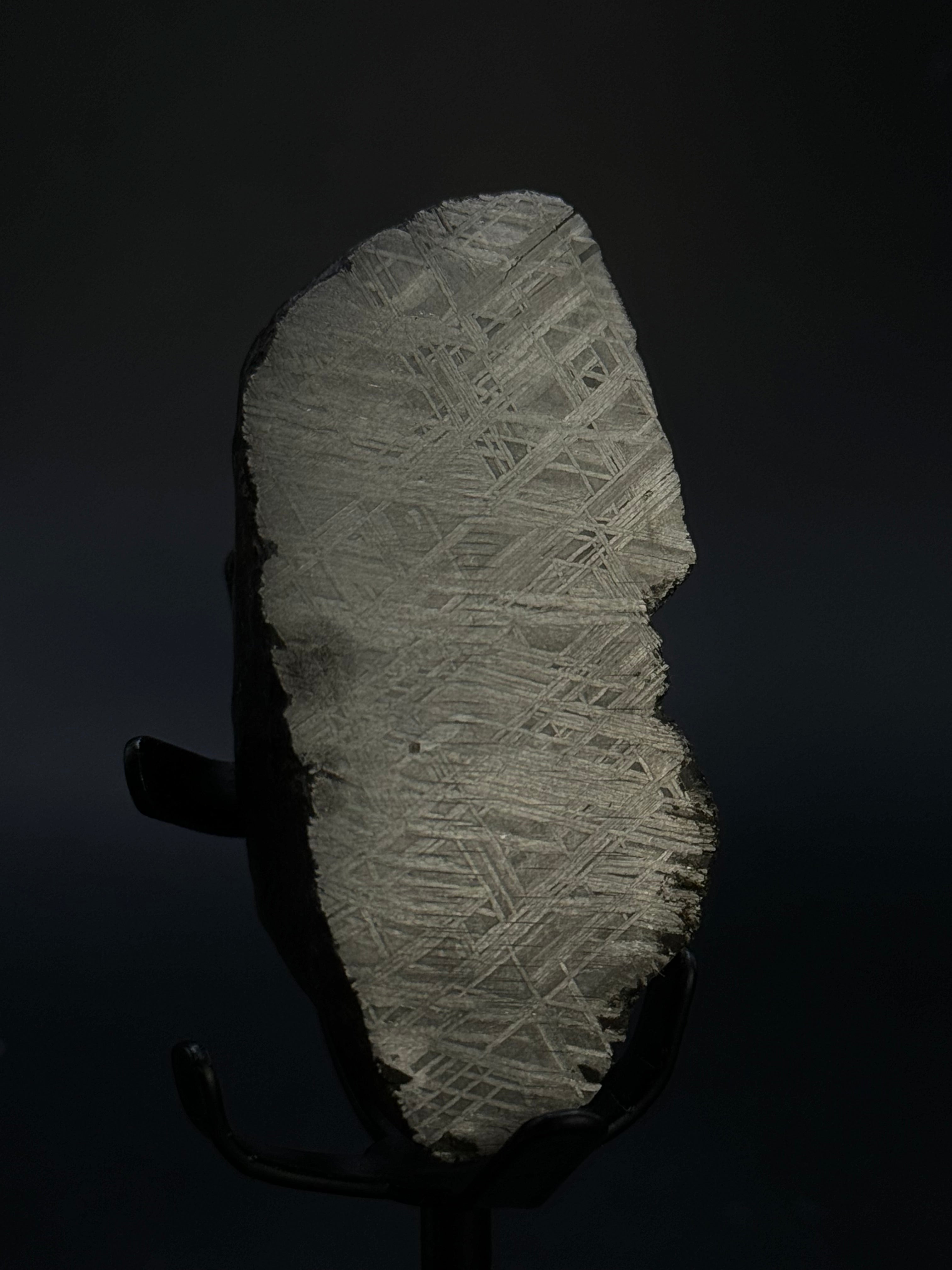 MUONIONALUSTA METEORITE, SWEDEN. 180 GRAMS END-CUT.