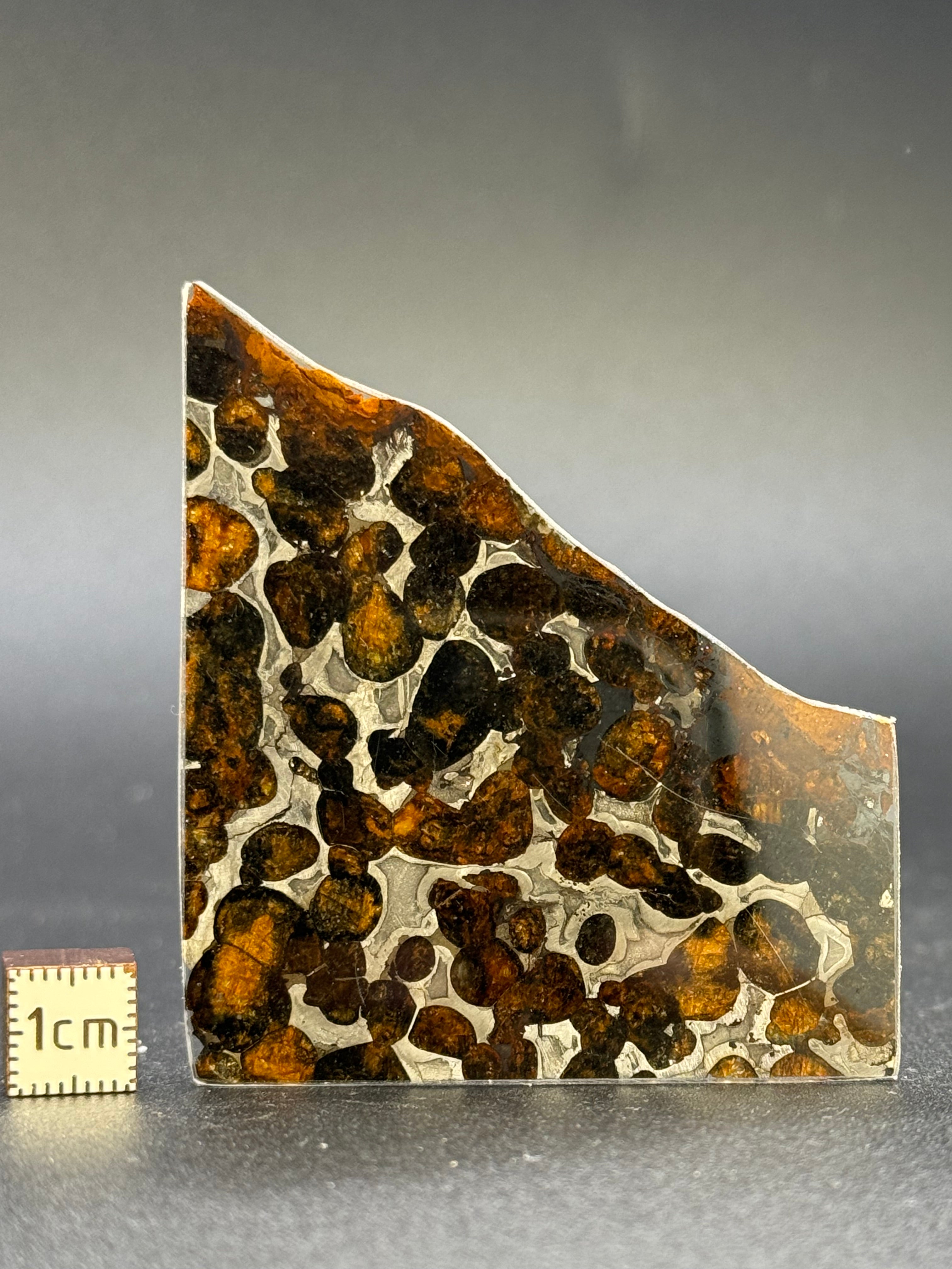 SERICHO METEORITE, KENYA. 11,39 GRAMS.
