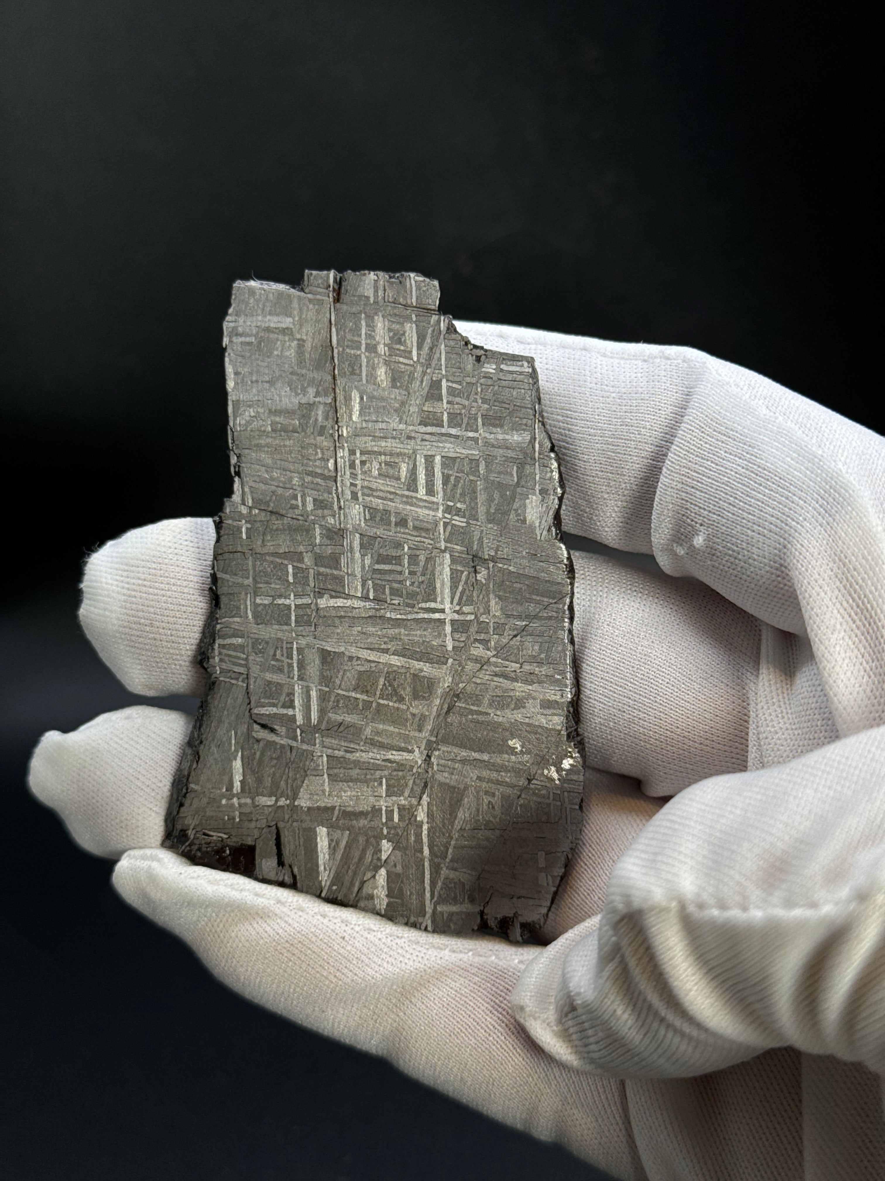 MUONIONALUSTA METEORITE, SWEDEN. 69,06 GRAMS.