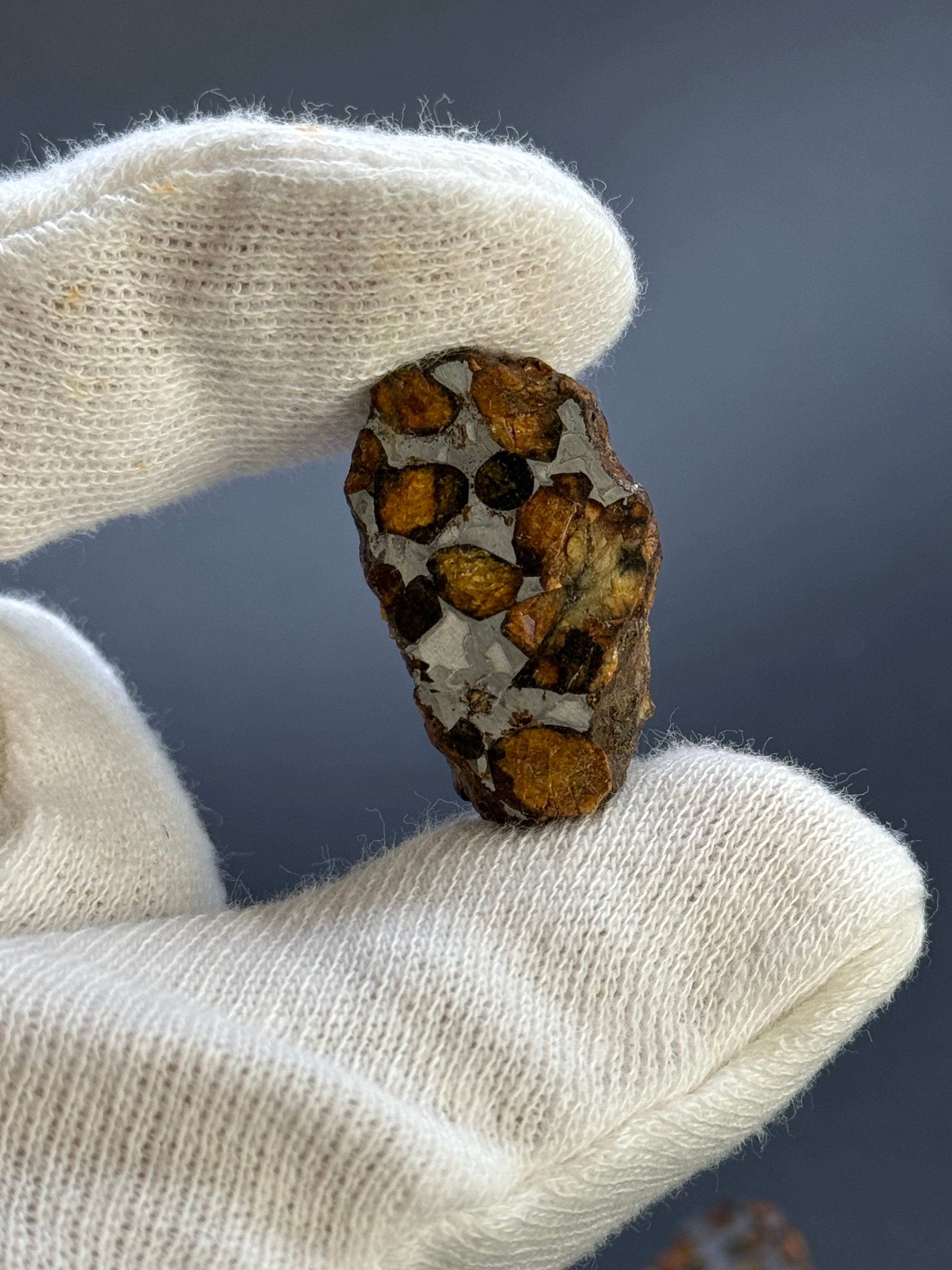 SERICHO PALLASITE METEORITE, KENYA. 13,40 GRAMS END-CUT