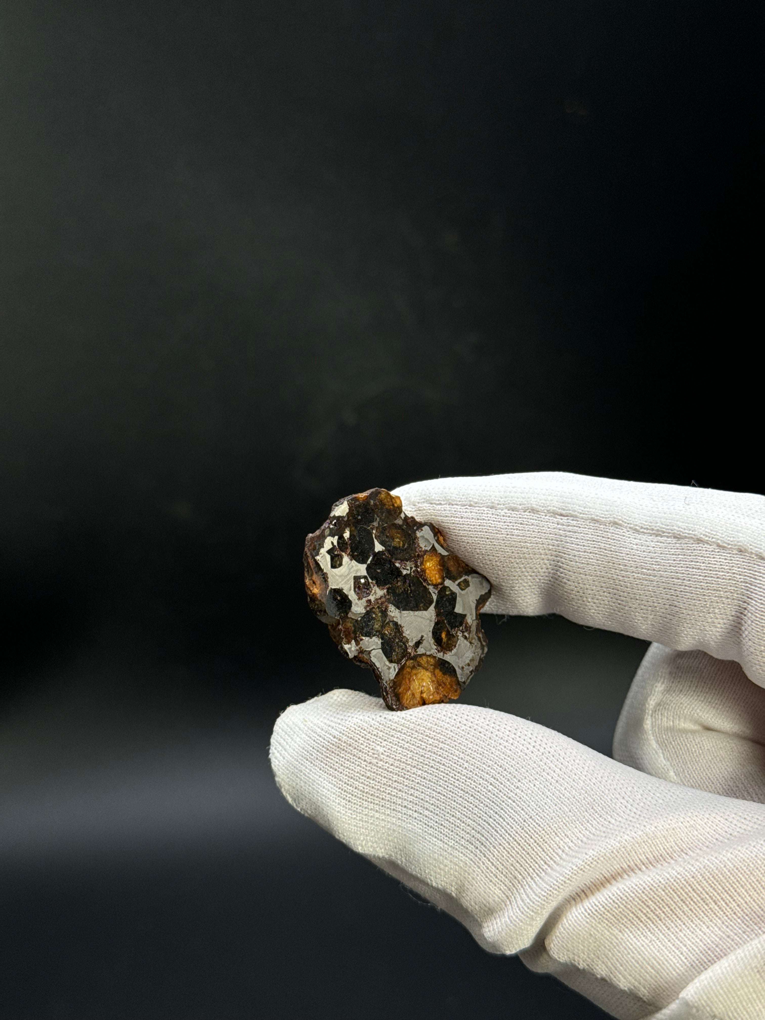 SERICHO PALLASITE METEORITE, KENYA. 9 GRAMS END-CUT.