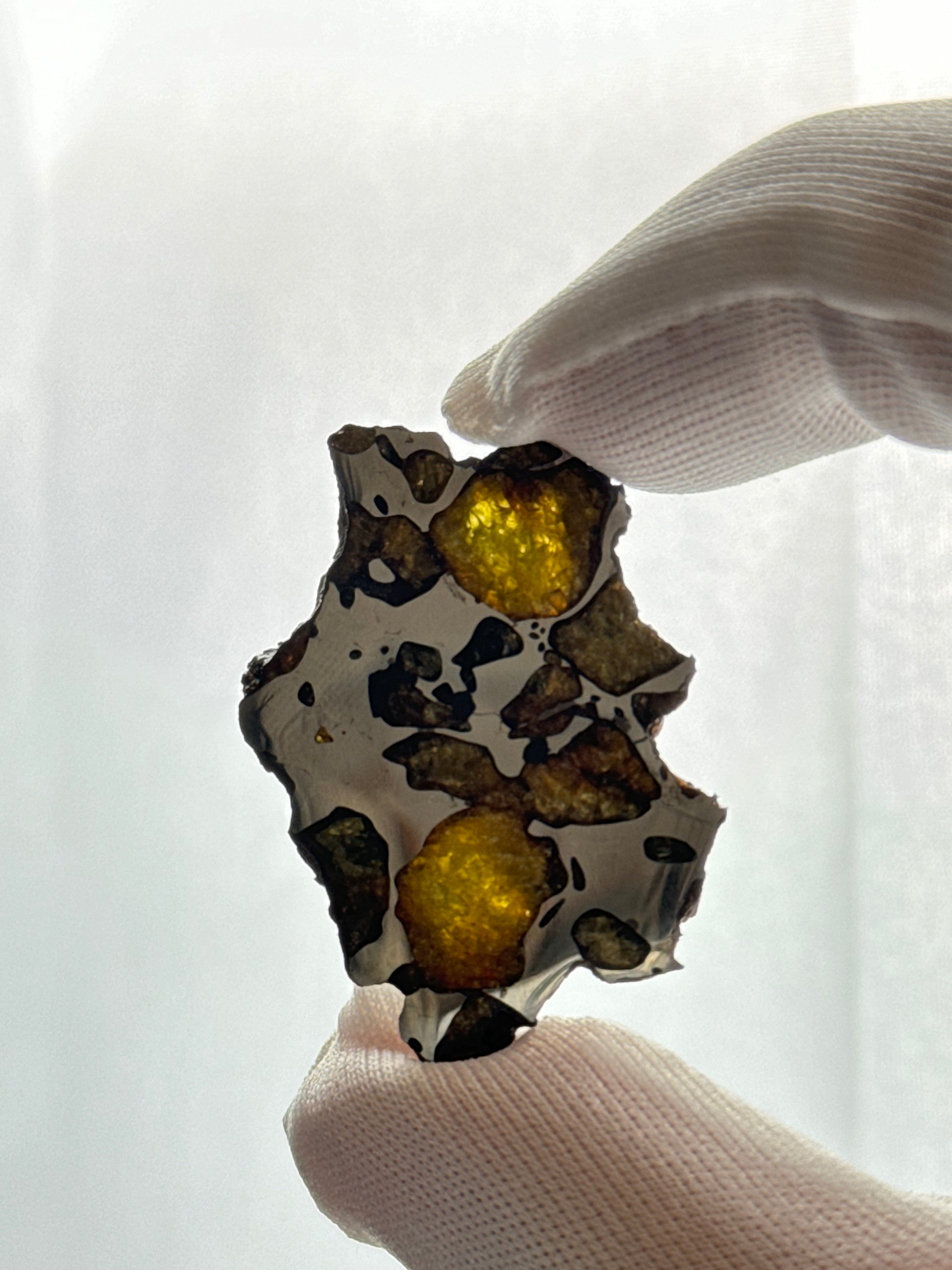 IMILAC PALLASITE METEORITE, CHILE. 7,38 GRAMS