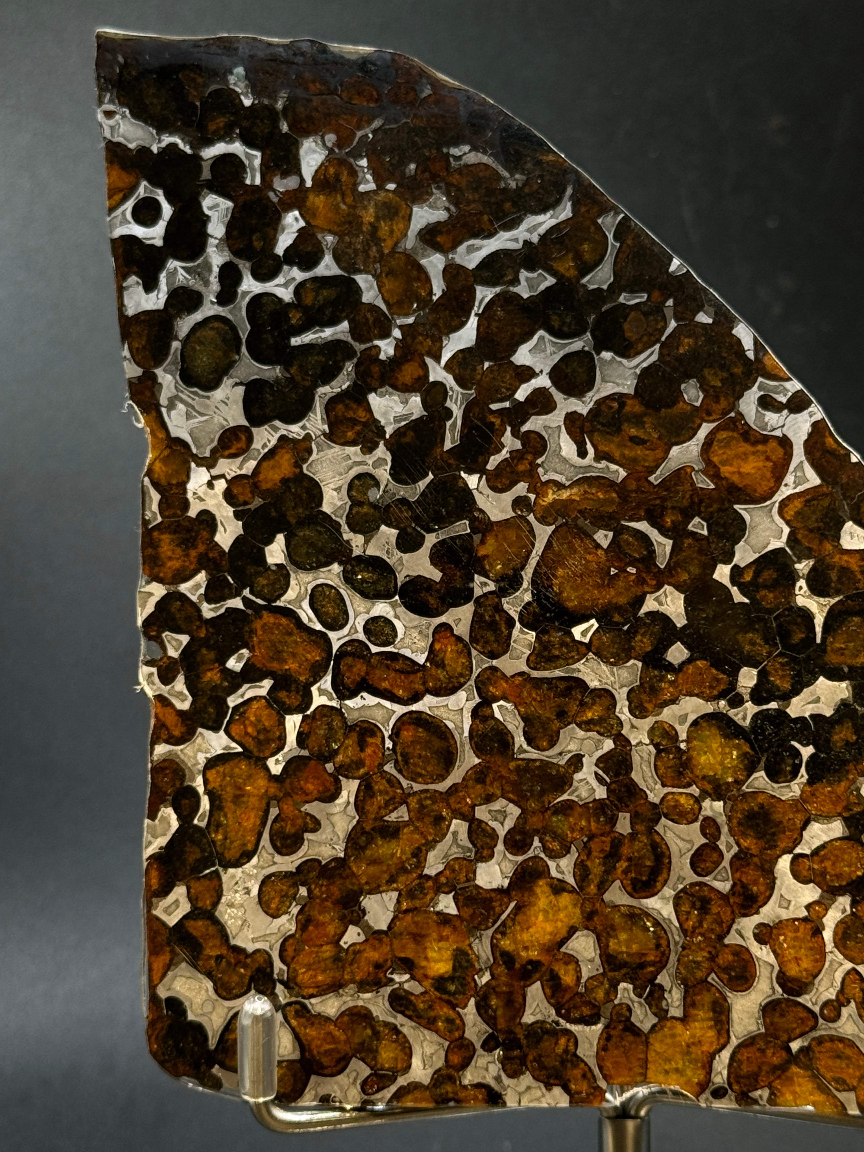 SERICHO METEORITE, KENYA. 71 GRAMS SLICE