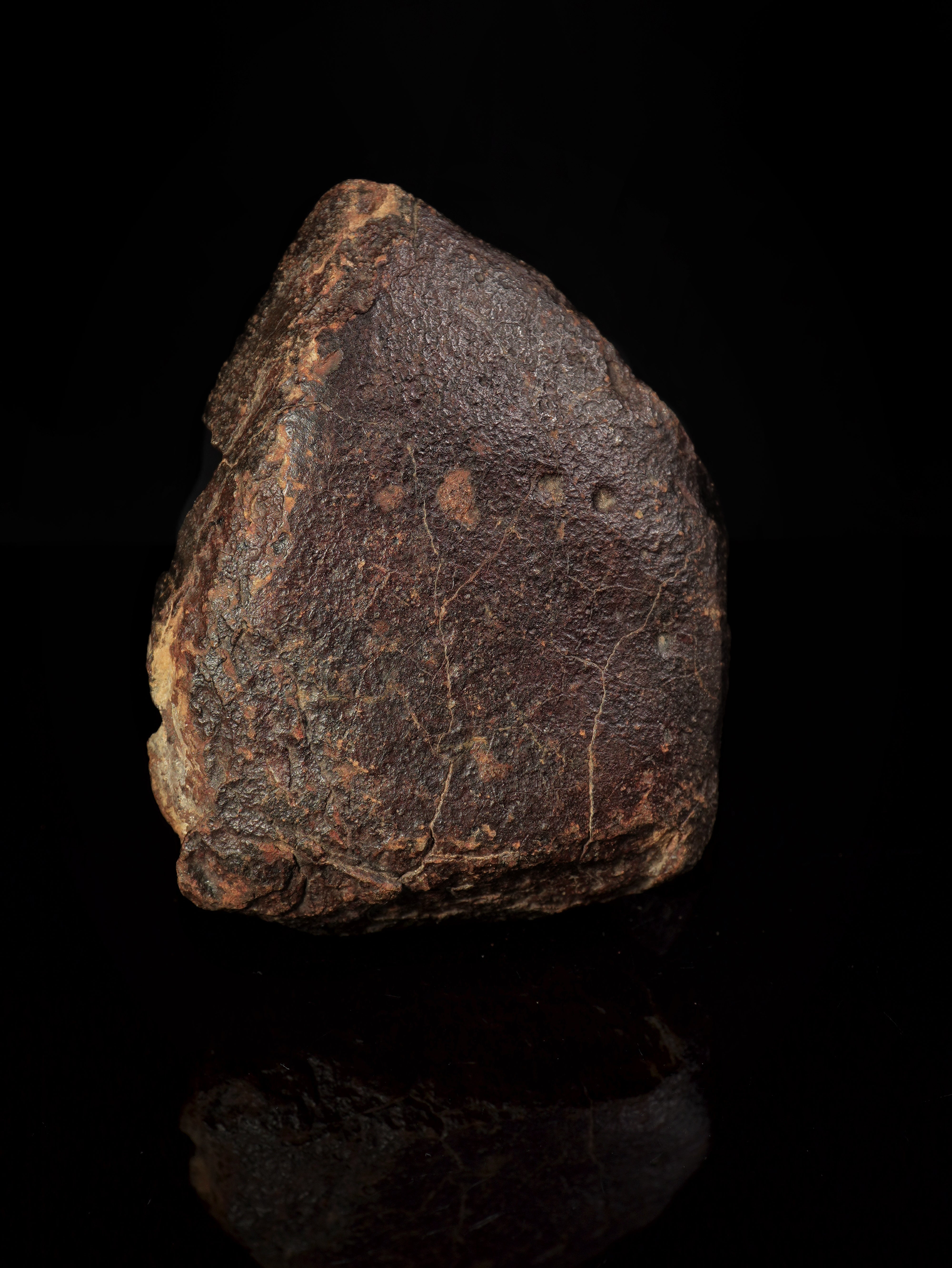 CHONDRITE METEORITE, NORTH WEST AFRICA. 232 GRAMS.