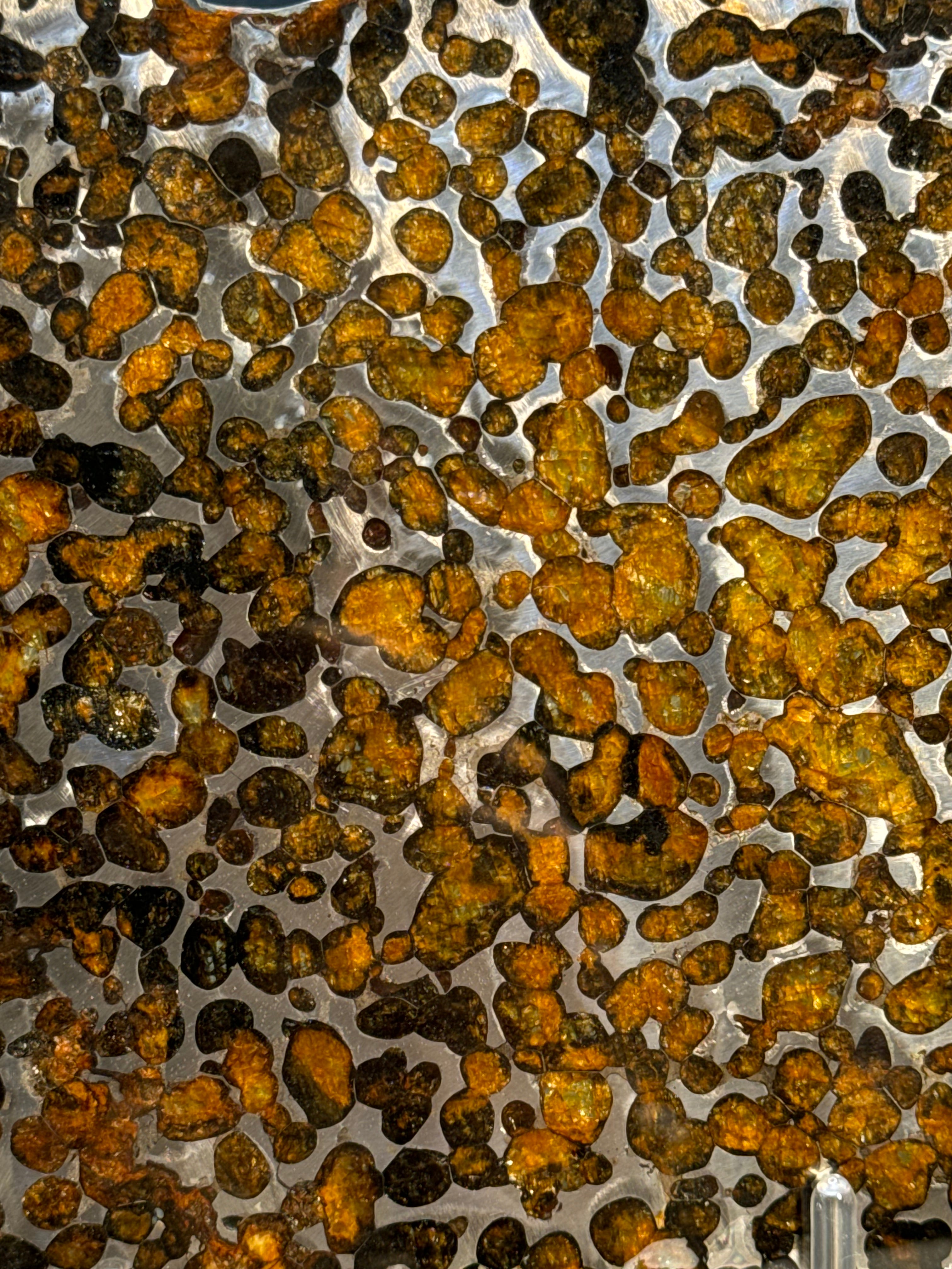 SERICHO METEORITE, KENYA. 116 GRAMS SLICE