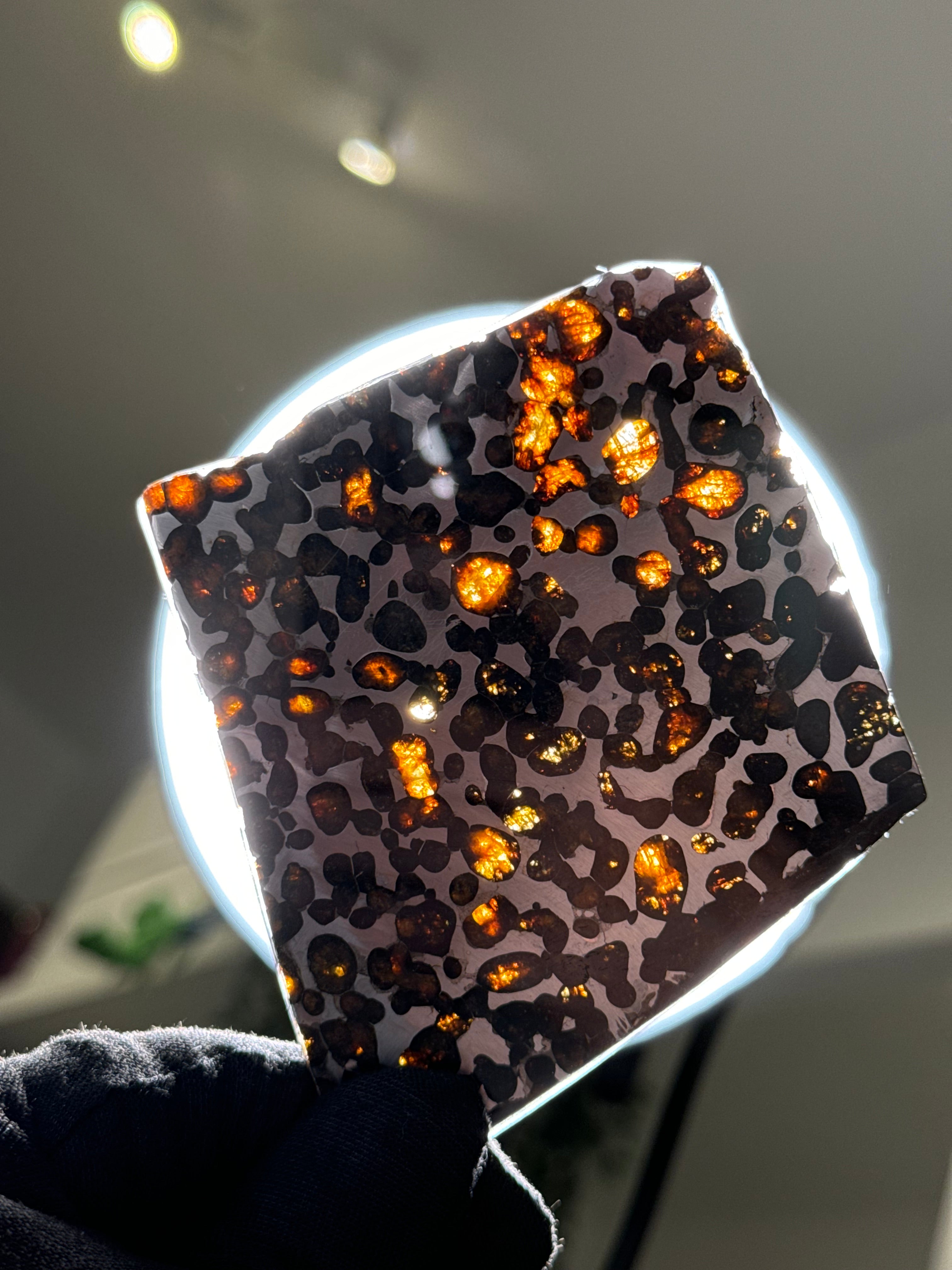 SERICHO METEORITE, KENYA. 58 GRAMS SLICE