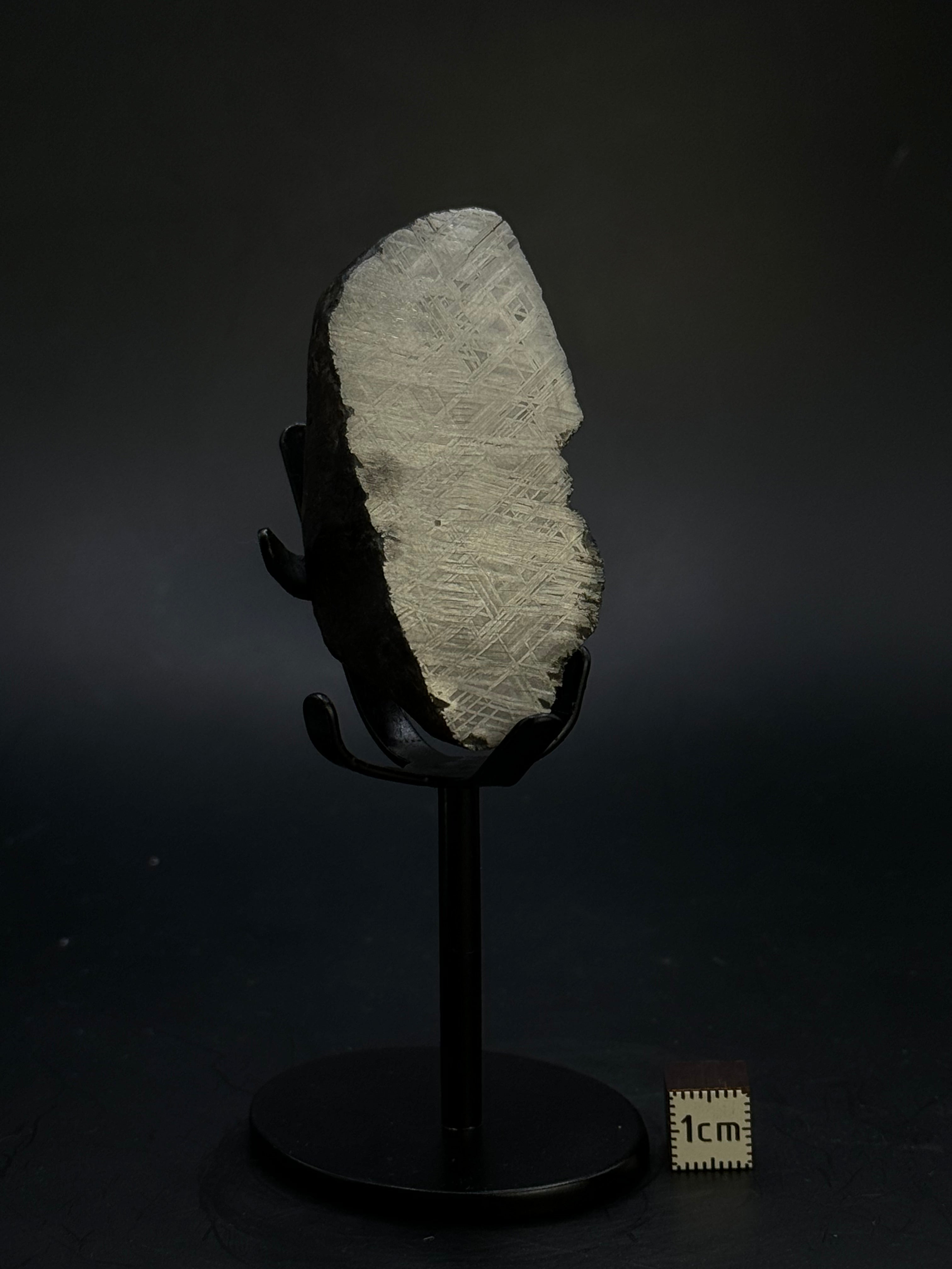 MUONIONALUSTA METEORITE, SWEDEN. 180 GRAMS END-CUT.