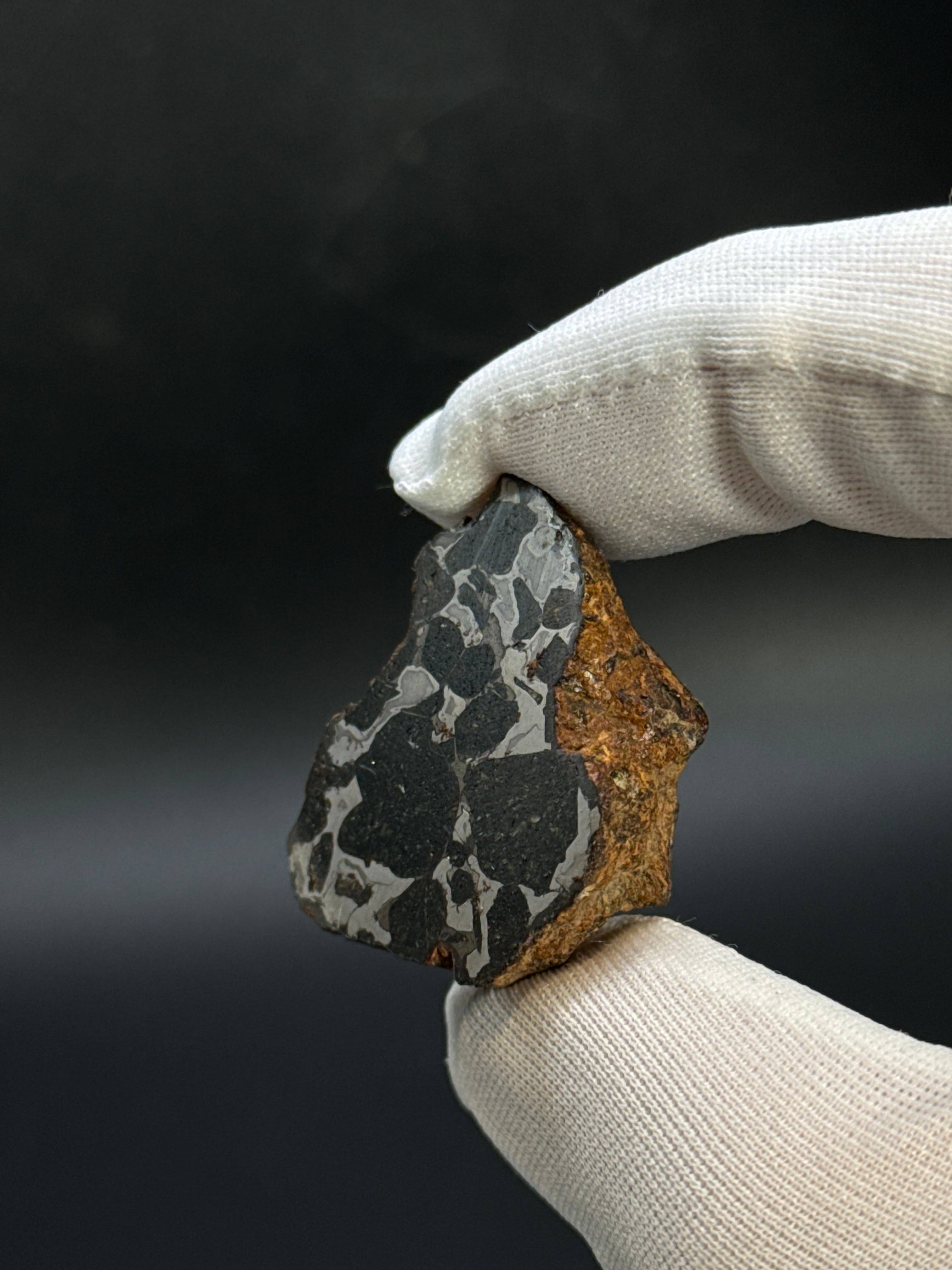 SERICHO PALLASITE METEORITE, KENYA. 21,79 GRAMS END-CUT