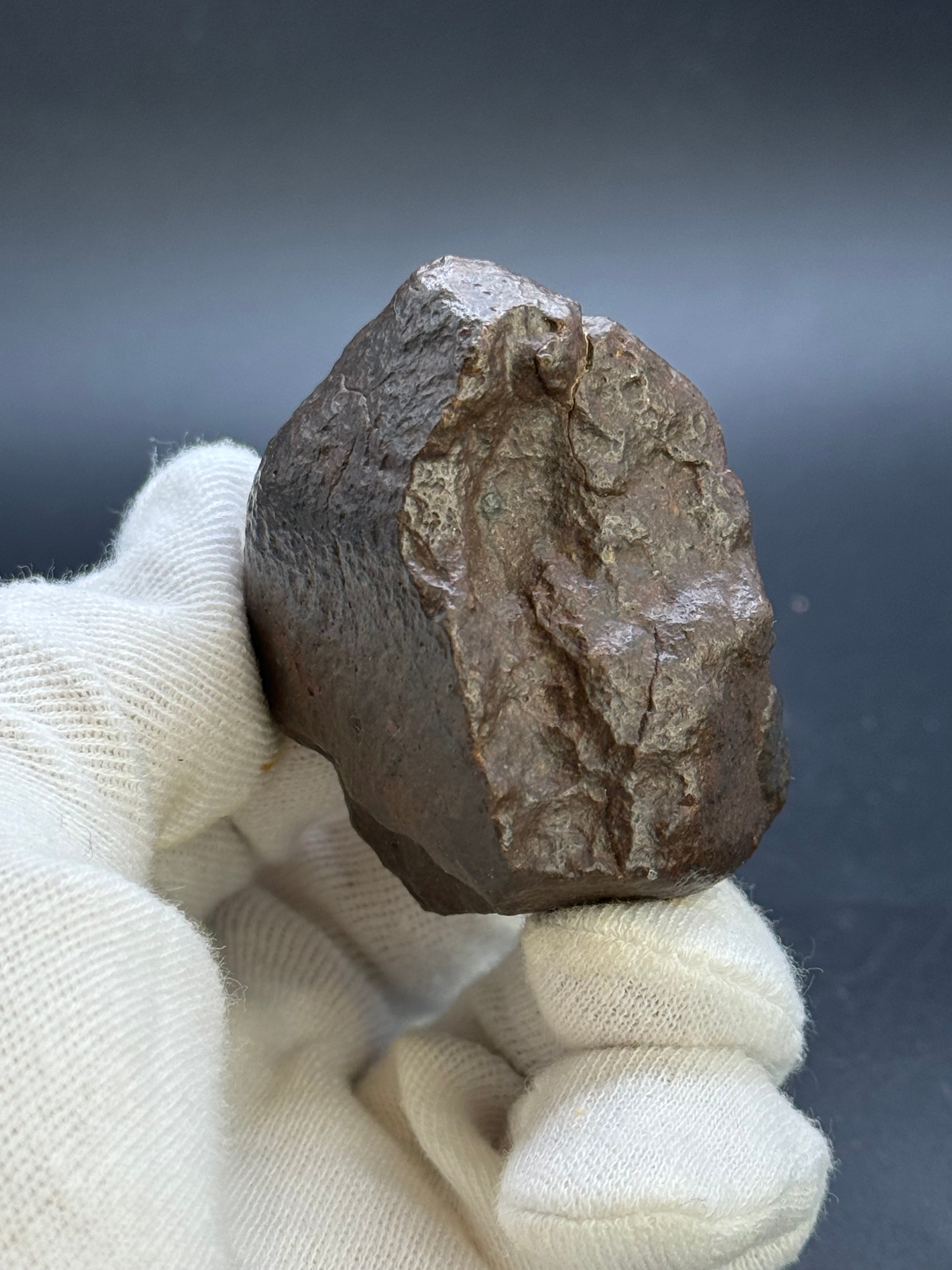 CHONDRITE METEORITE, NORTH WEST AFRICA. 159 GRAMS.
