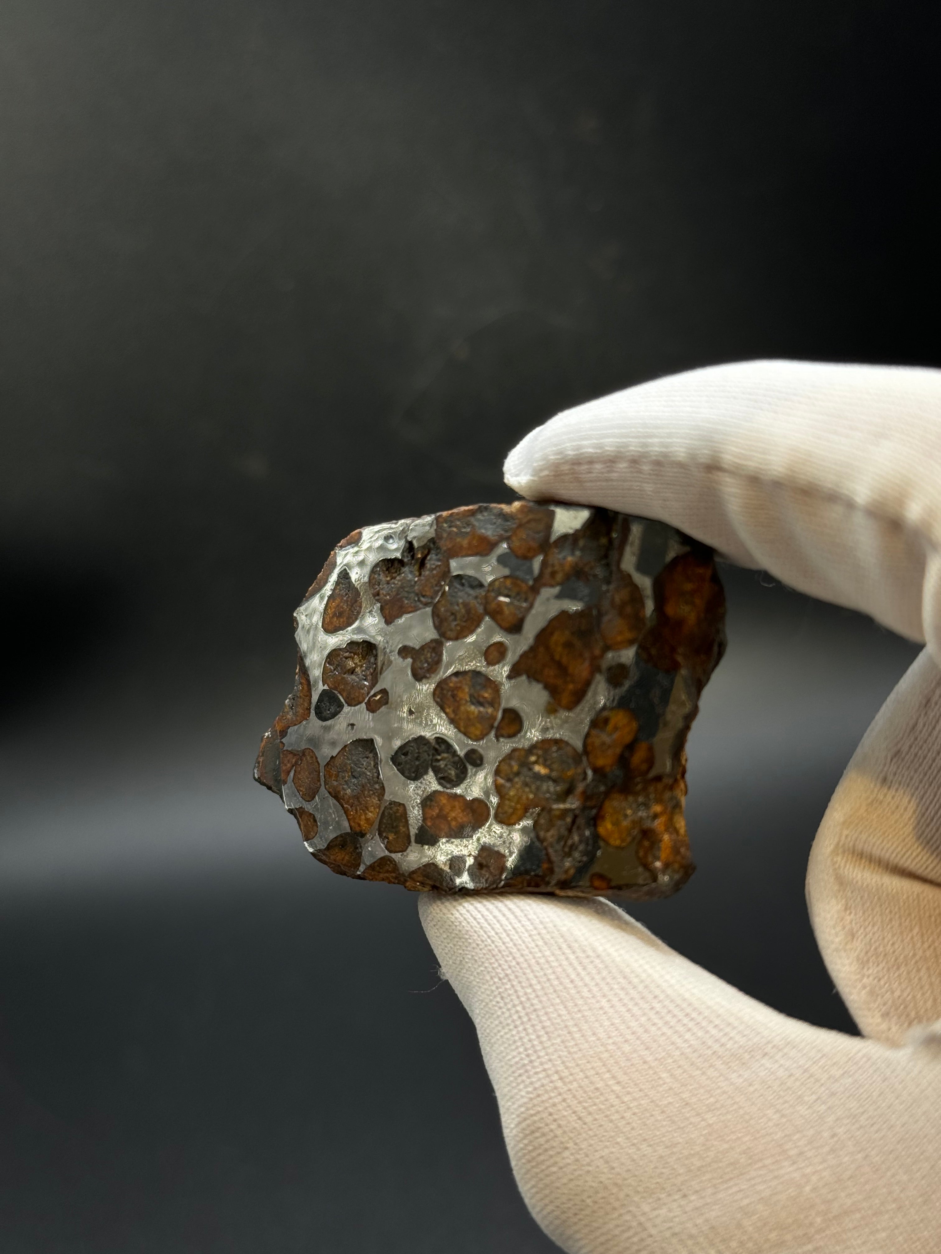 SERICHO PALLASITE METEORITE, KENYA. 92,90 GRAMS END-CUT.