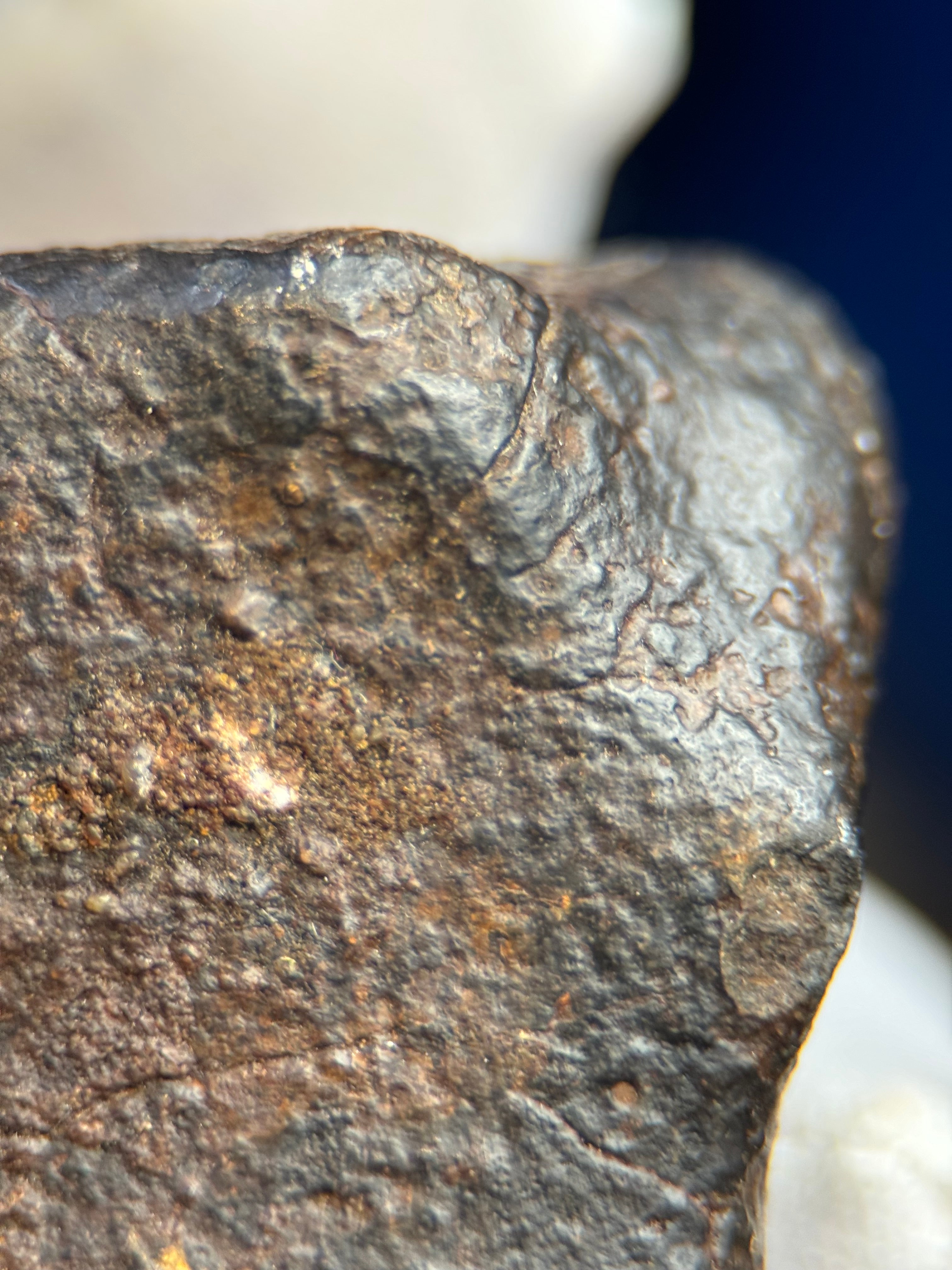 CHONDRITE METEORITE, NORTH WEST AFRICA. 263 GRAMS.