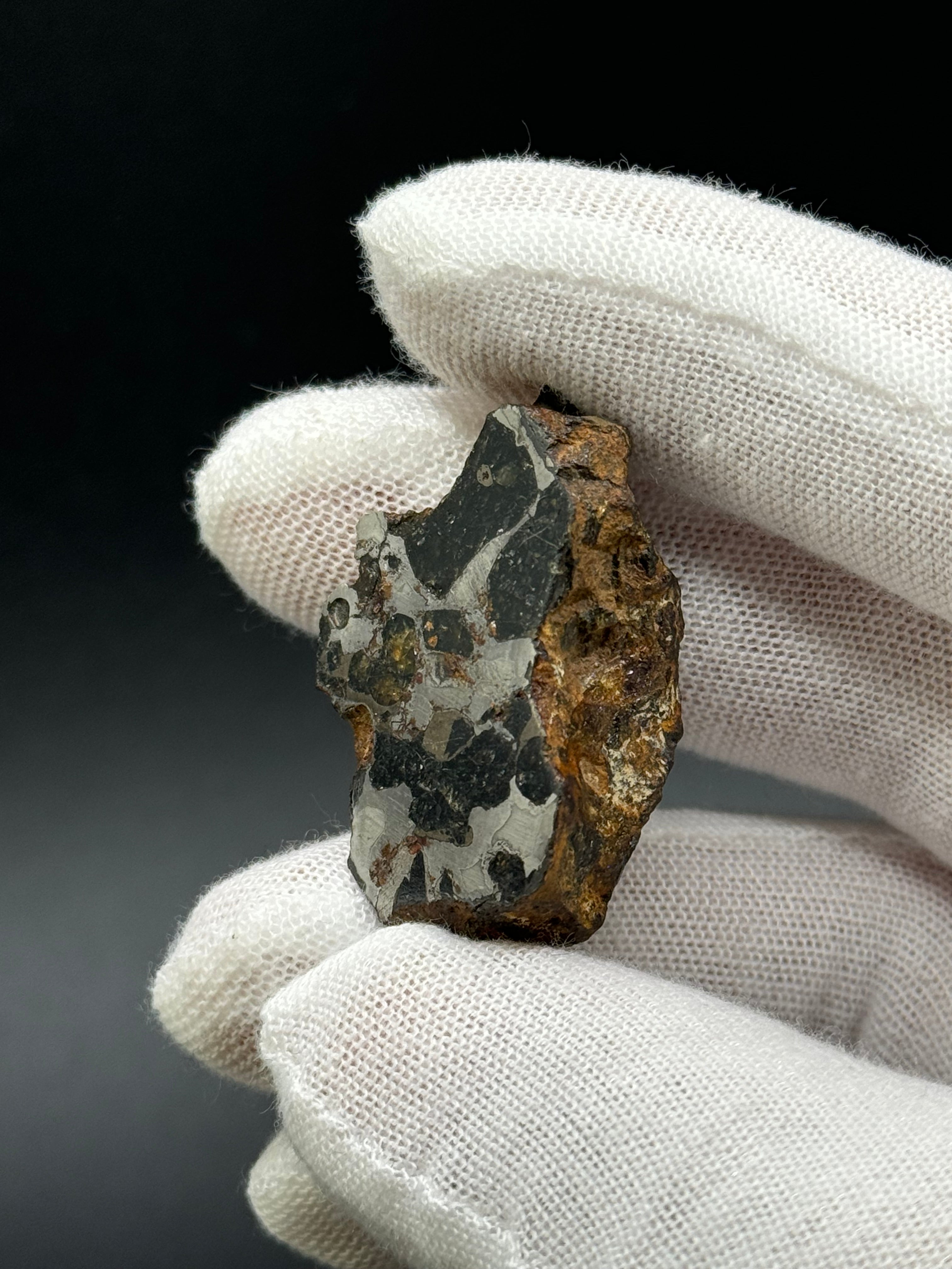 SERICHO PALLASITE METEORITE, KENYA. 31,69 GRAMS END-CUT.