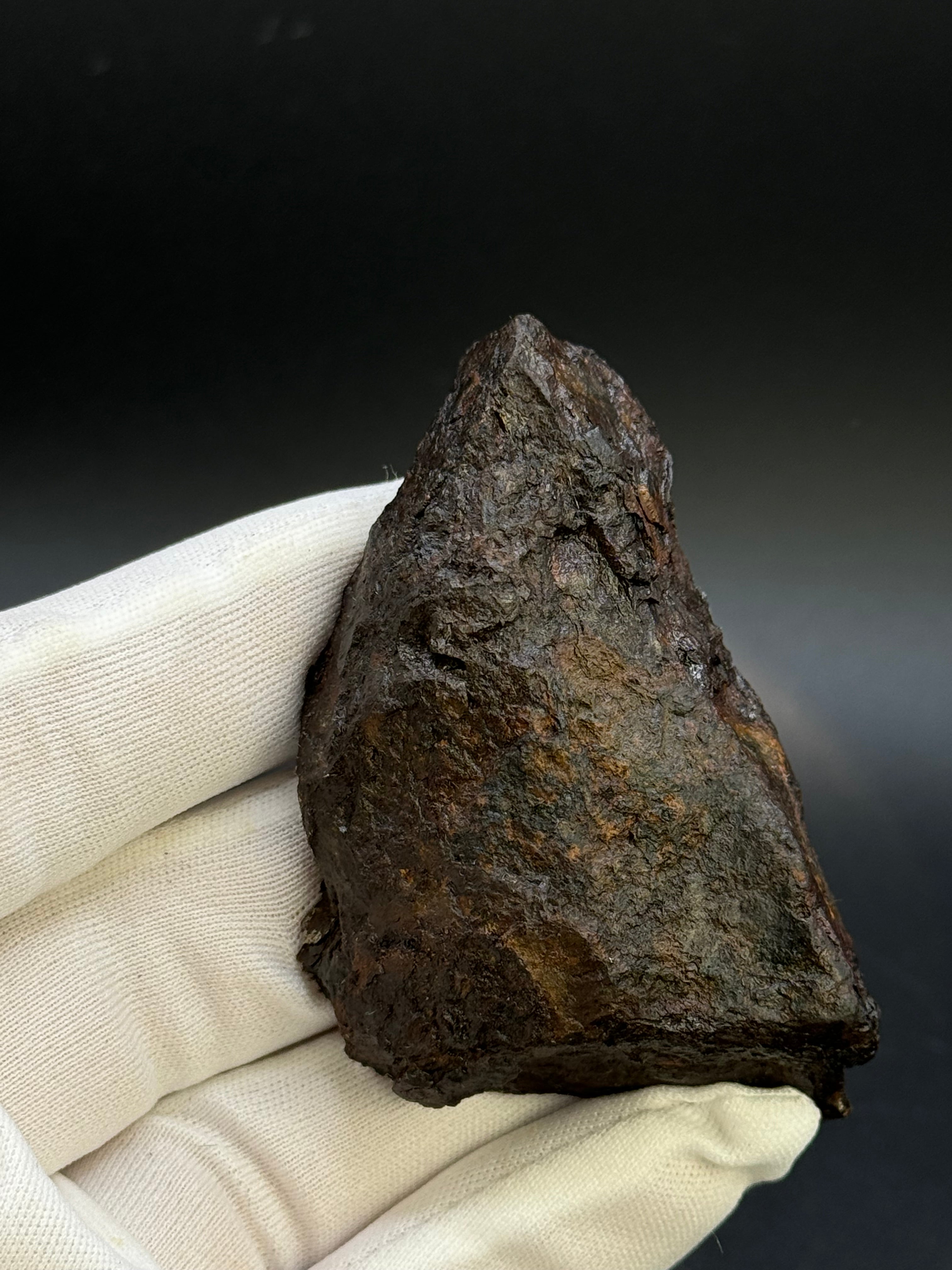 MUONIONALUSTA METEORITE, SWEDEN. 226 GRAMS END-CUT.