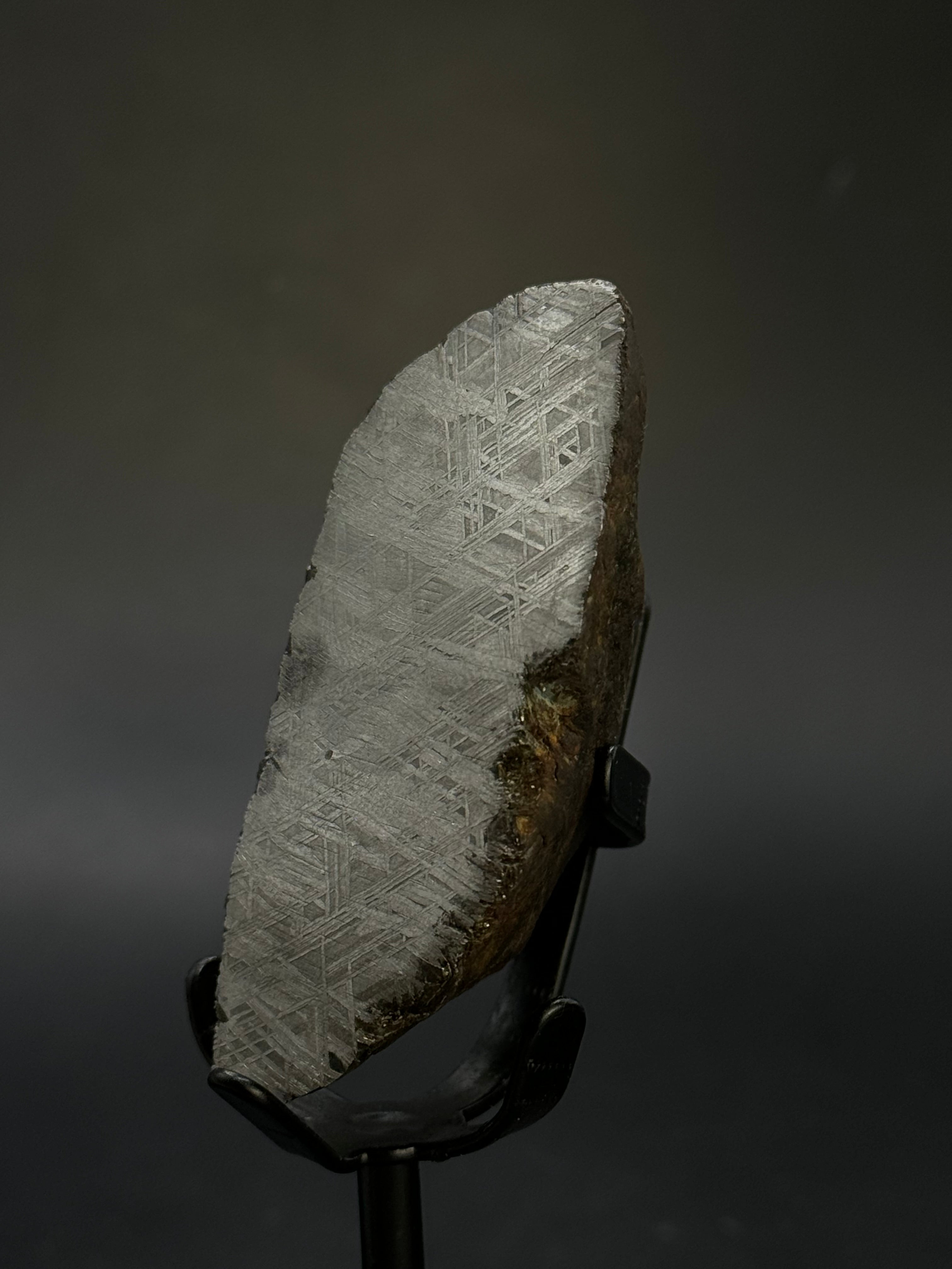 MUONIONALUSTA METEORITE, SWEDEN. 180 GRAMS END-CUT.
