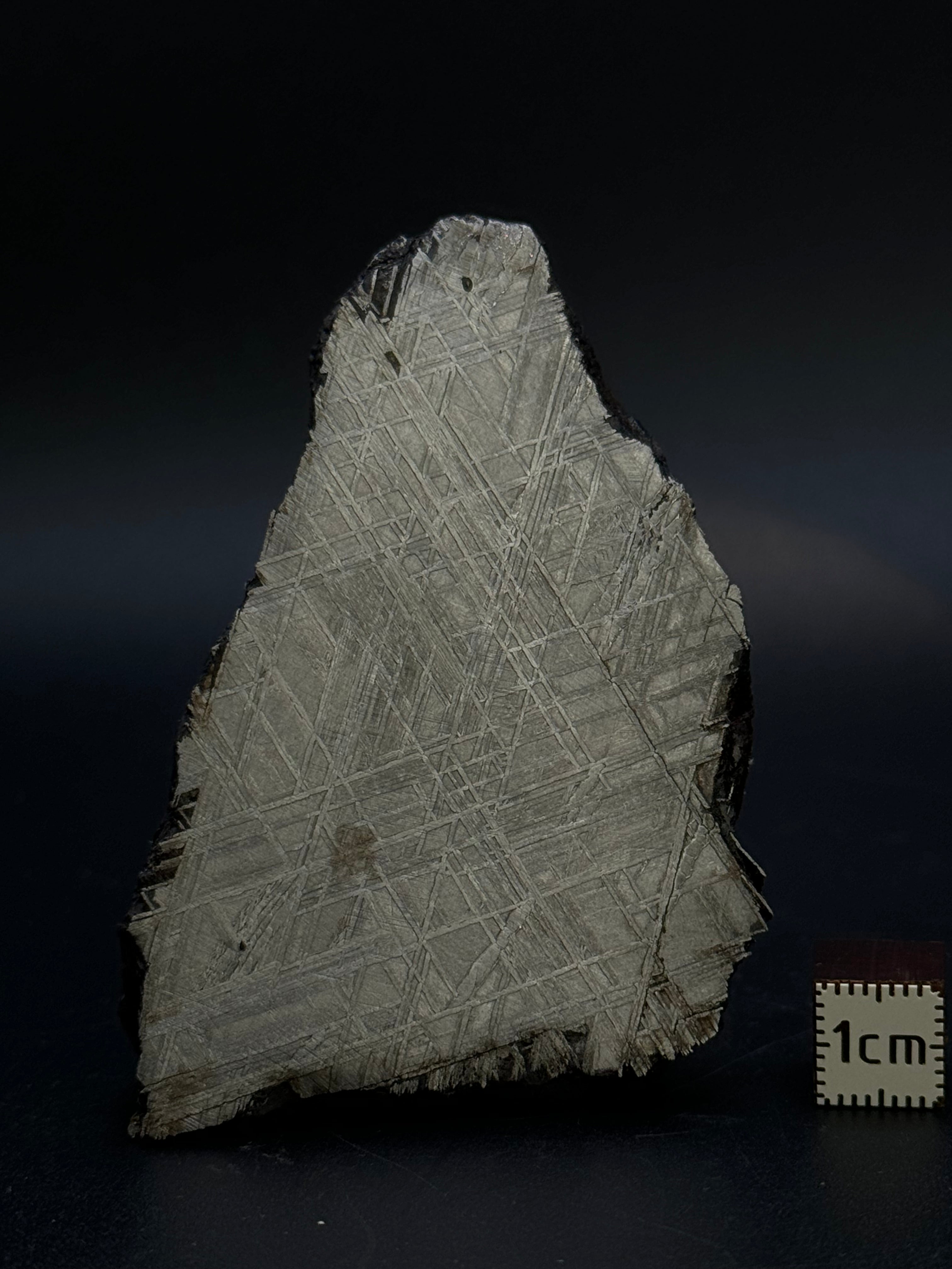 MUONIONALUSTA METEORITE, SWEDEN. 226 GRAMS END-CUT.