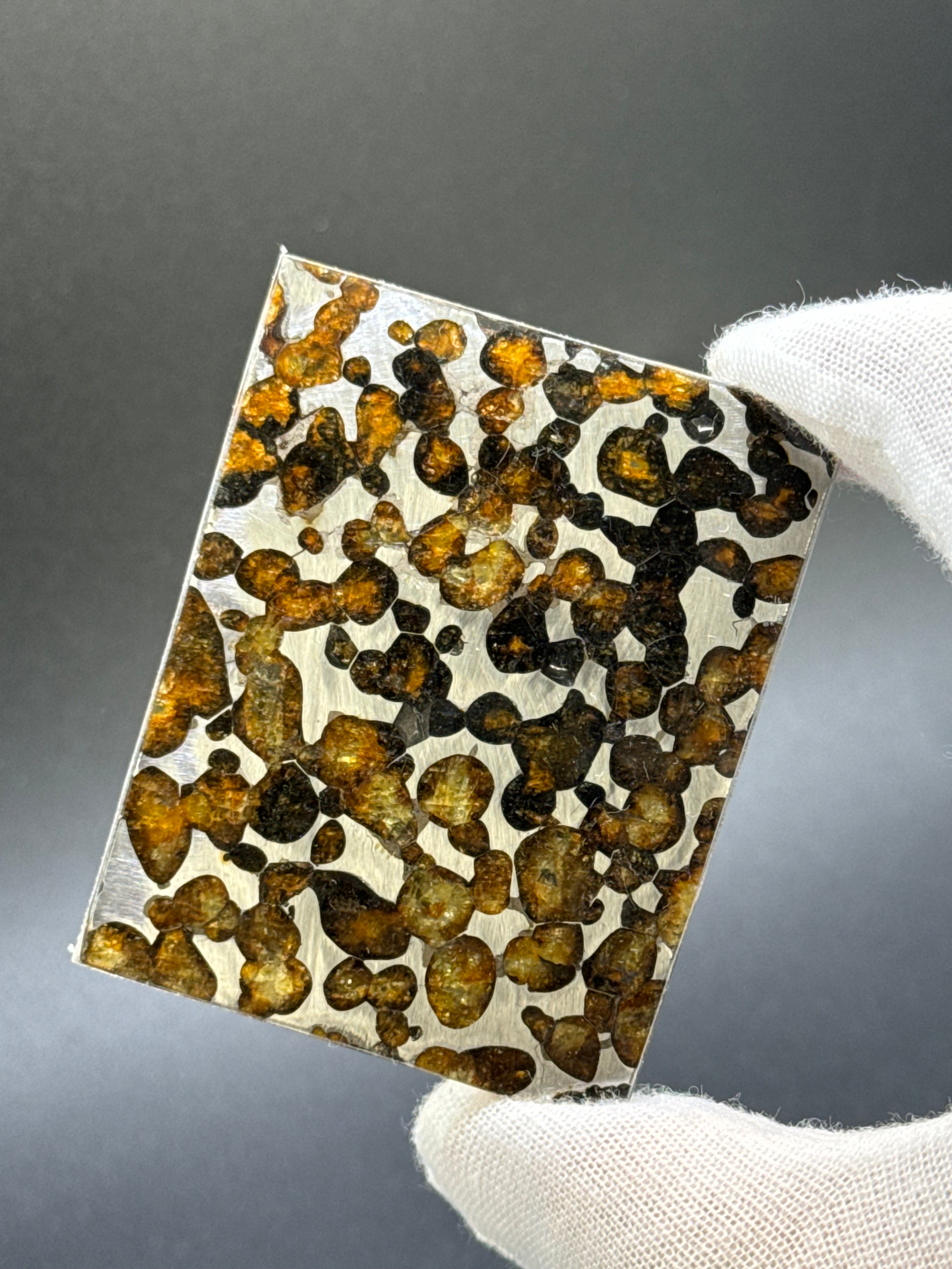 SERICHO METEORITE, KENYA. 26,10 GRAMS.