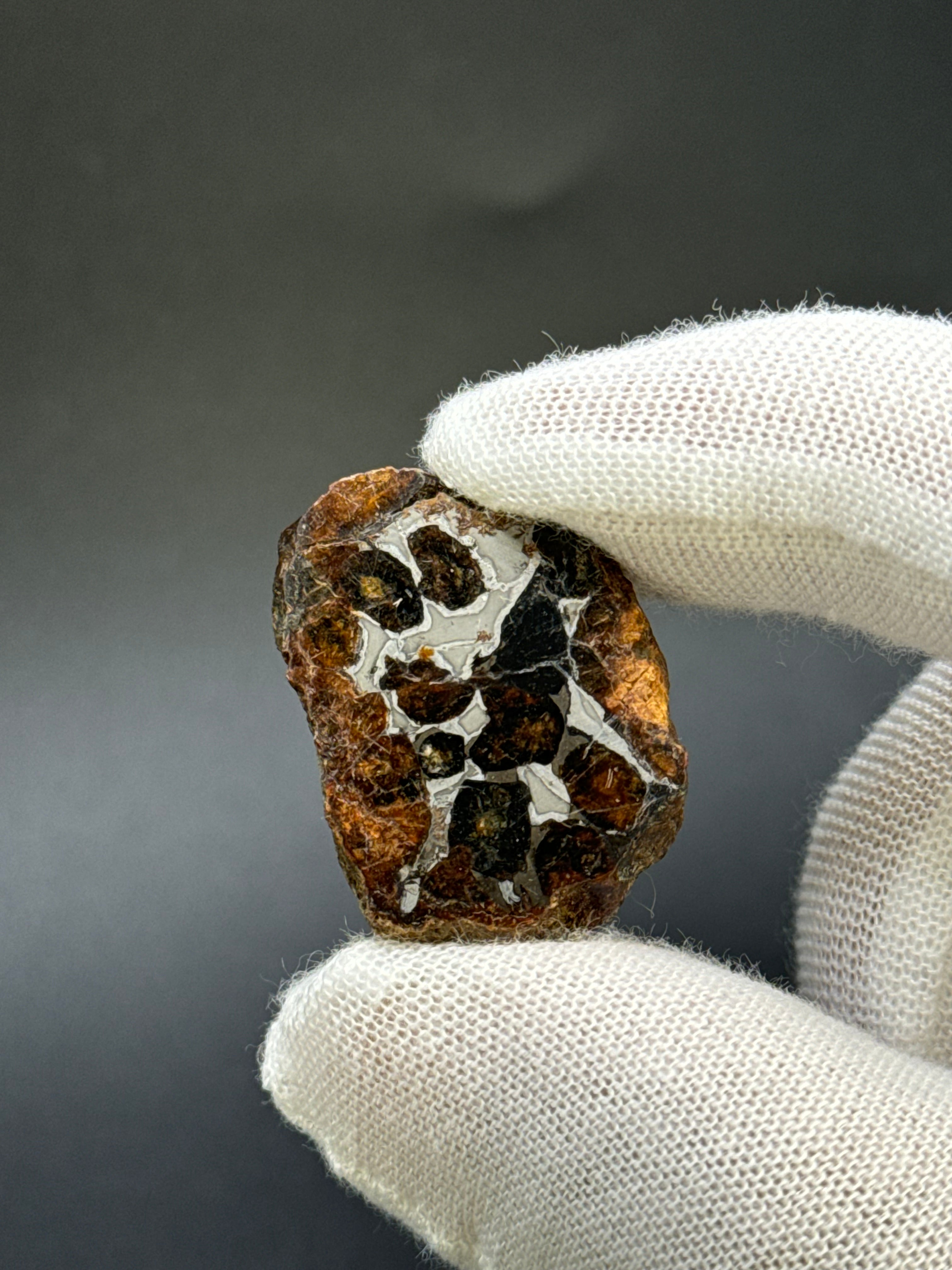 SERICHO PALLASITE METEORITE, KENYA. 14,76 GRAMS END-CUT