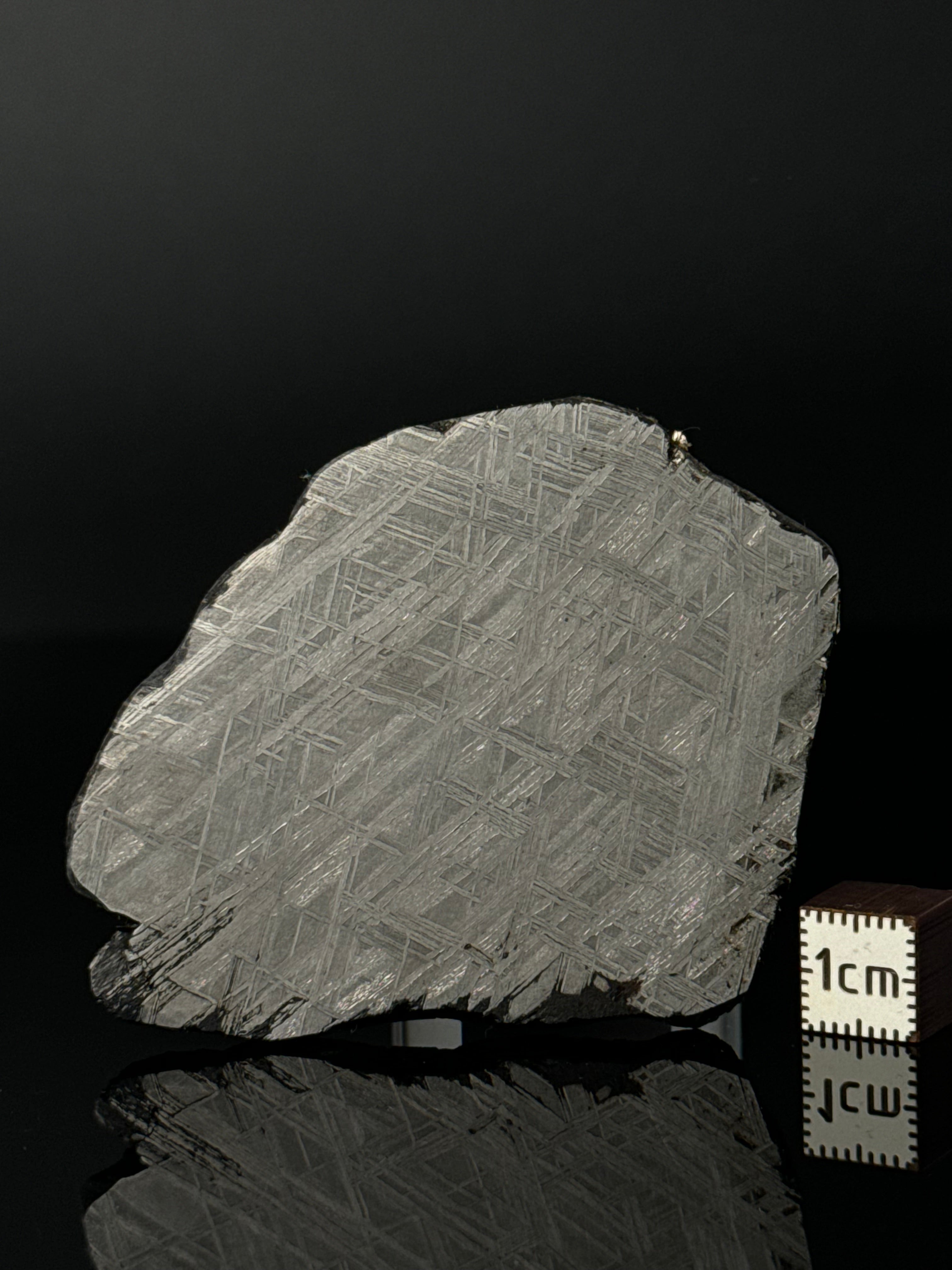 MUONIONALUSTA METEORITE, SWEDEN 66,46 GRAMS.