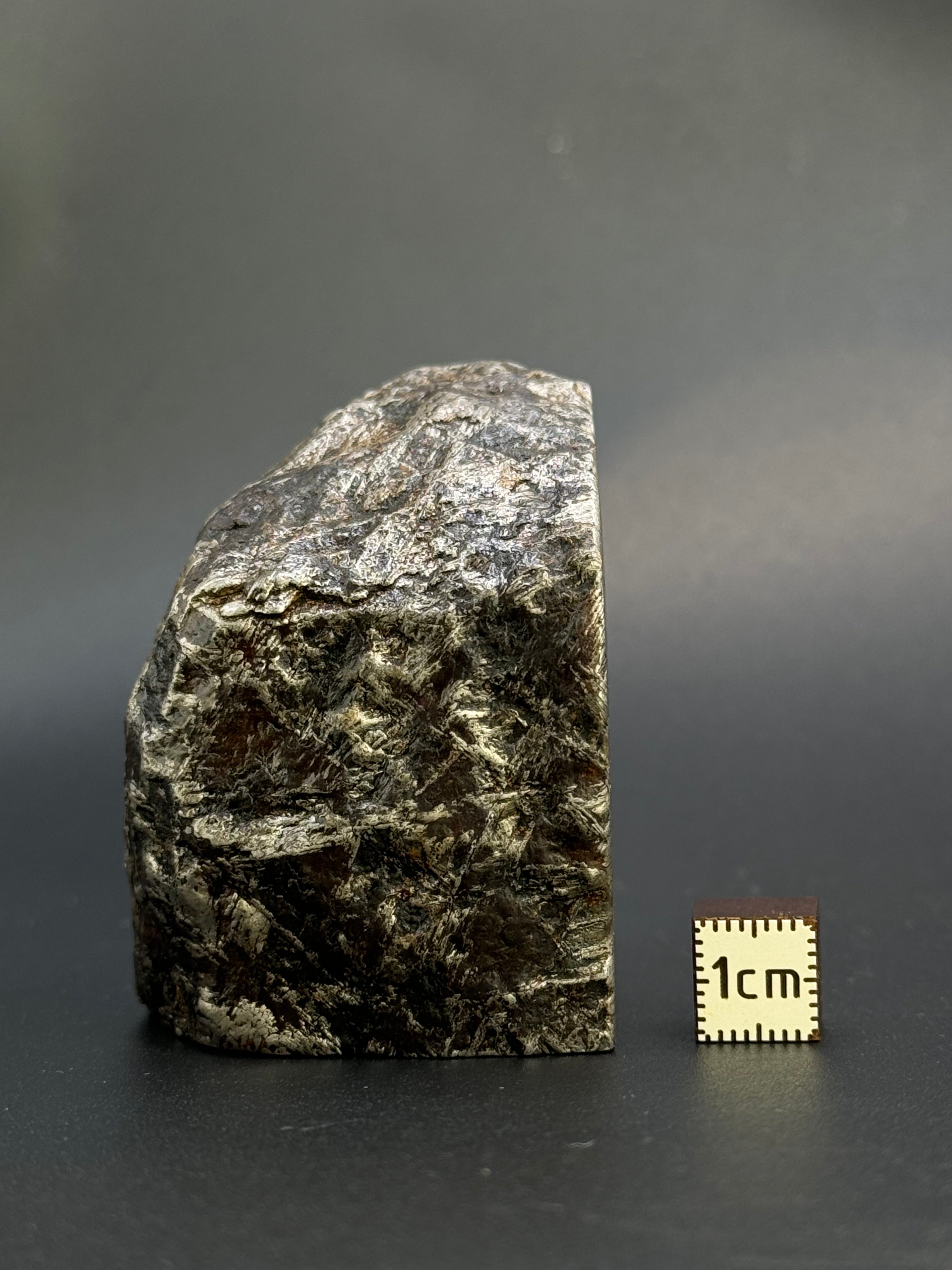 MUONIONALUSTA METEORITE, SWEDEN. 487 GRAMS END-CUT.