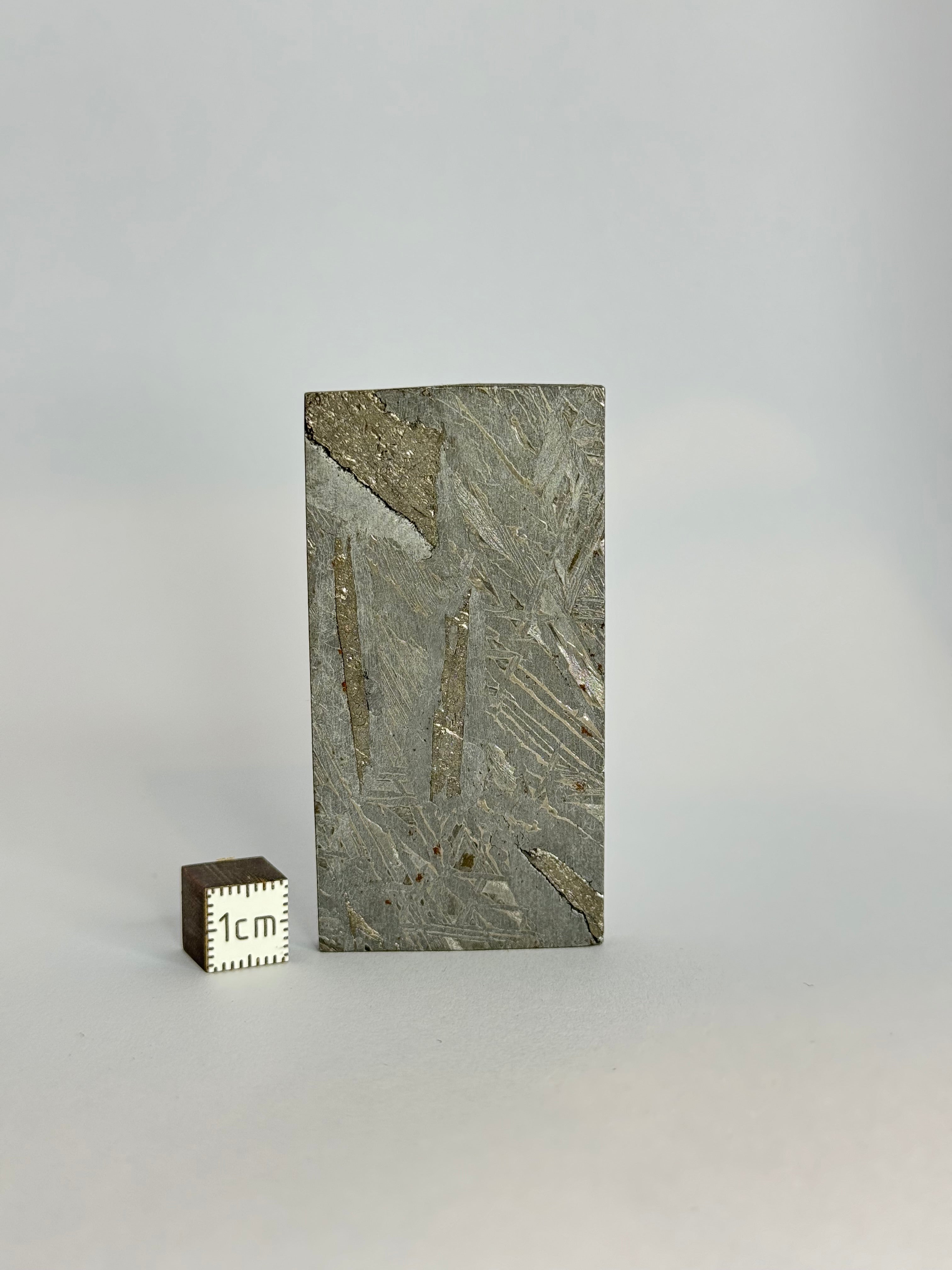Aletai Meteorite, Gobi Desert. 79.15g slice