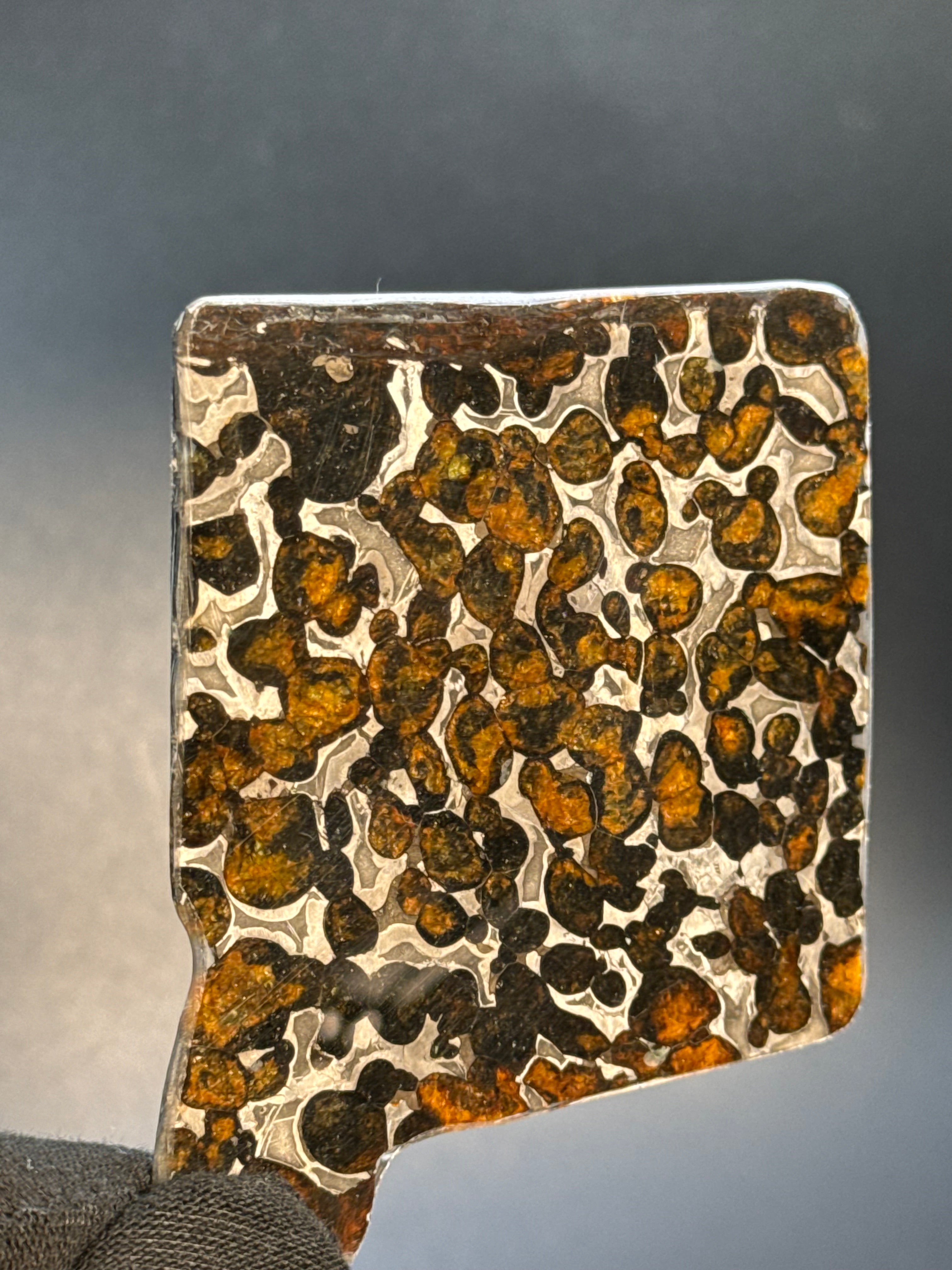 SERICHO METEORITE, KENYA. 30 GRAMS SLICE