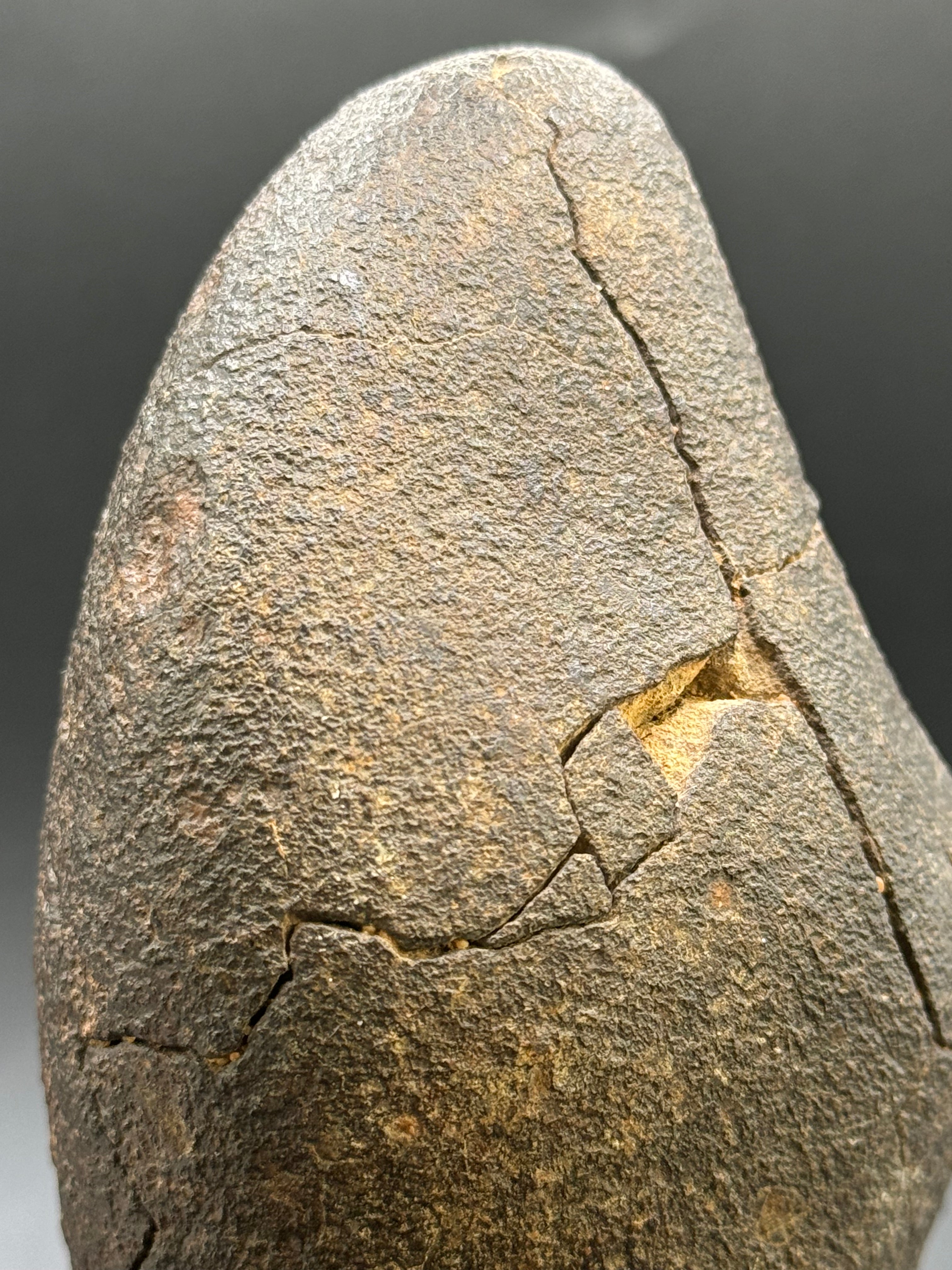 CHONDRITE METEORITE, NORTH WEST AFRICA. 421 GRAMS.