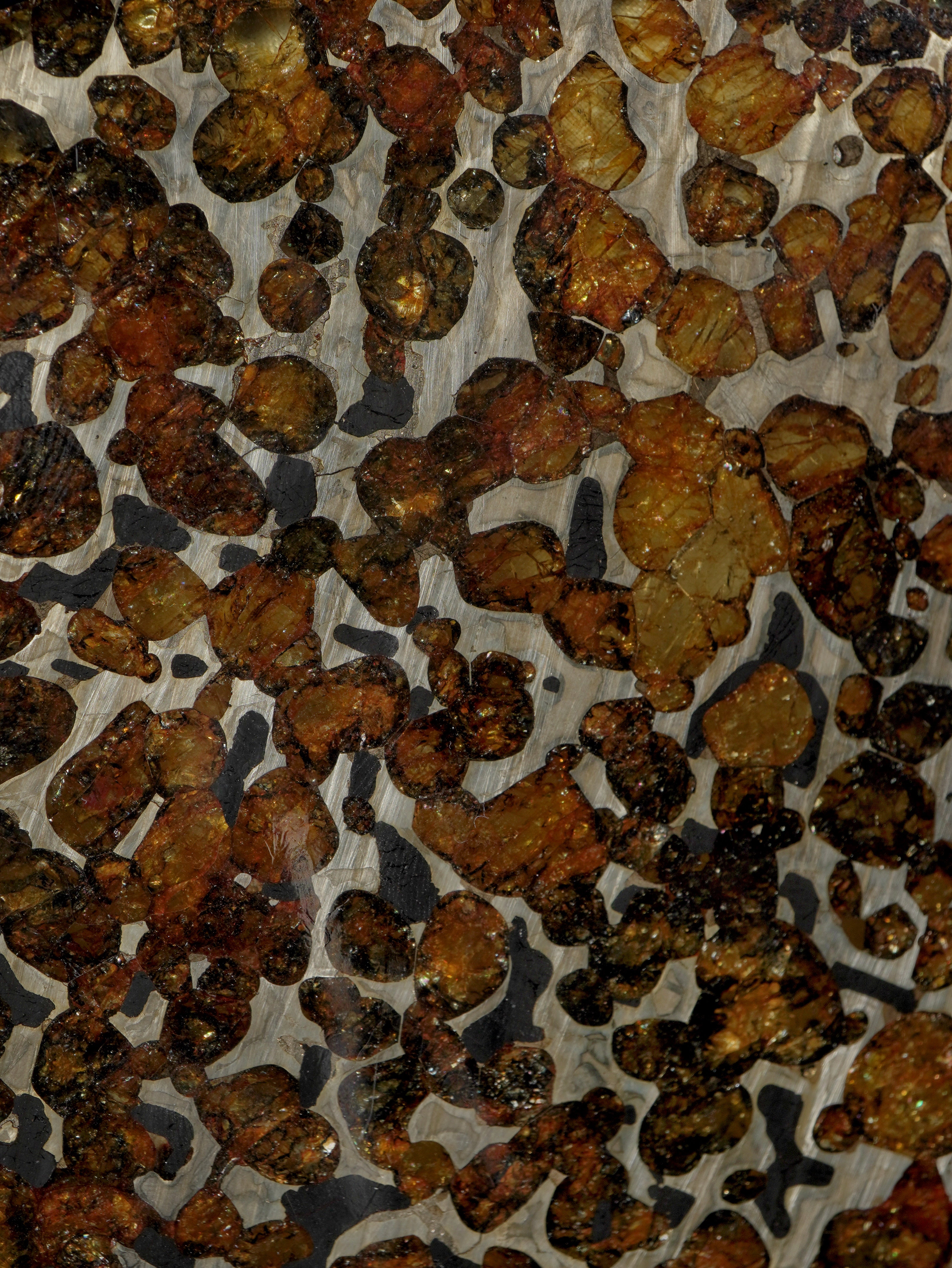SERICHO PALLASITE METEORITE, KENYA. 286 GRAMS — PERFECTLY ROUND SLICE