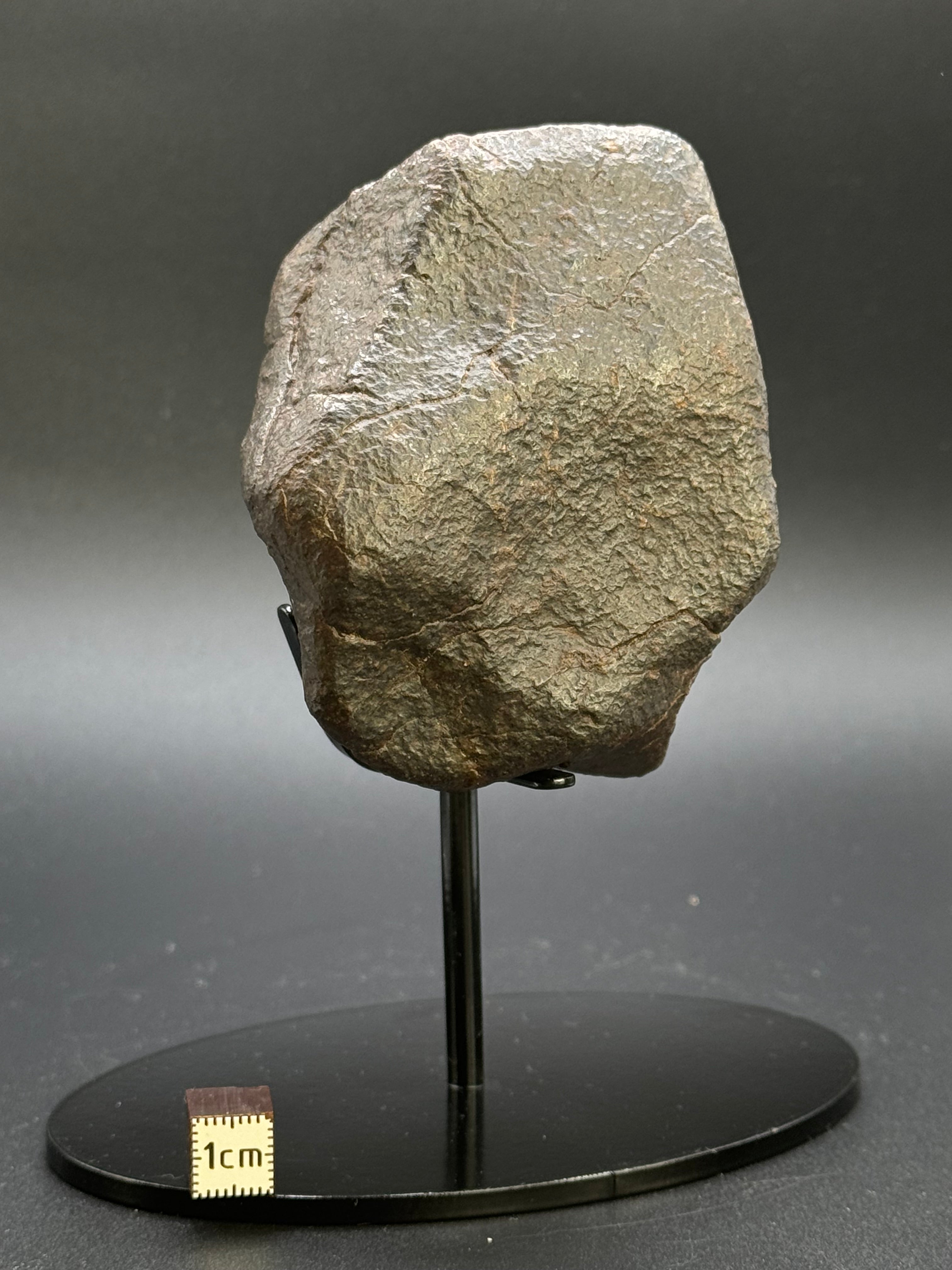 CHONDRITE METEORITE, NORTH WEST AFRICA. 306 GRAMS.