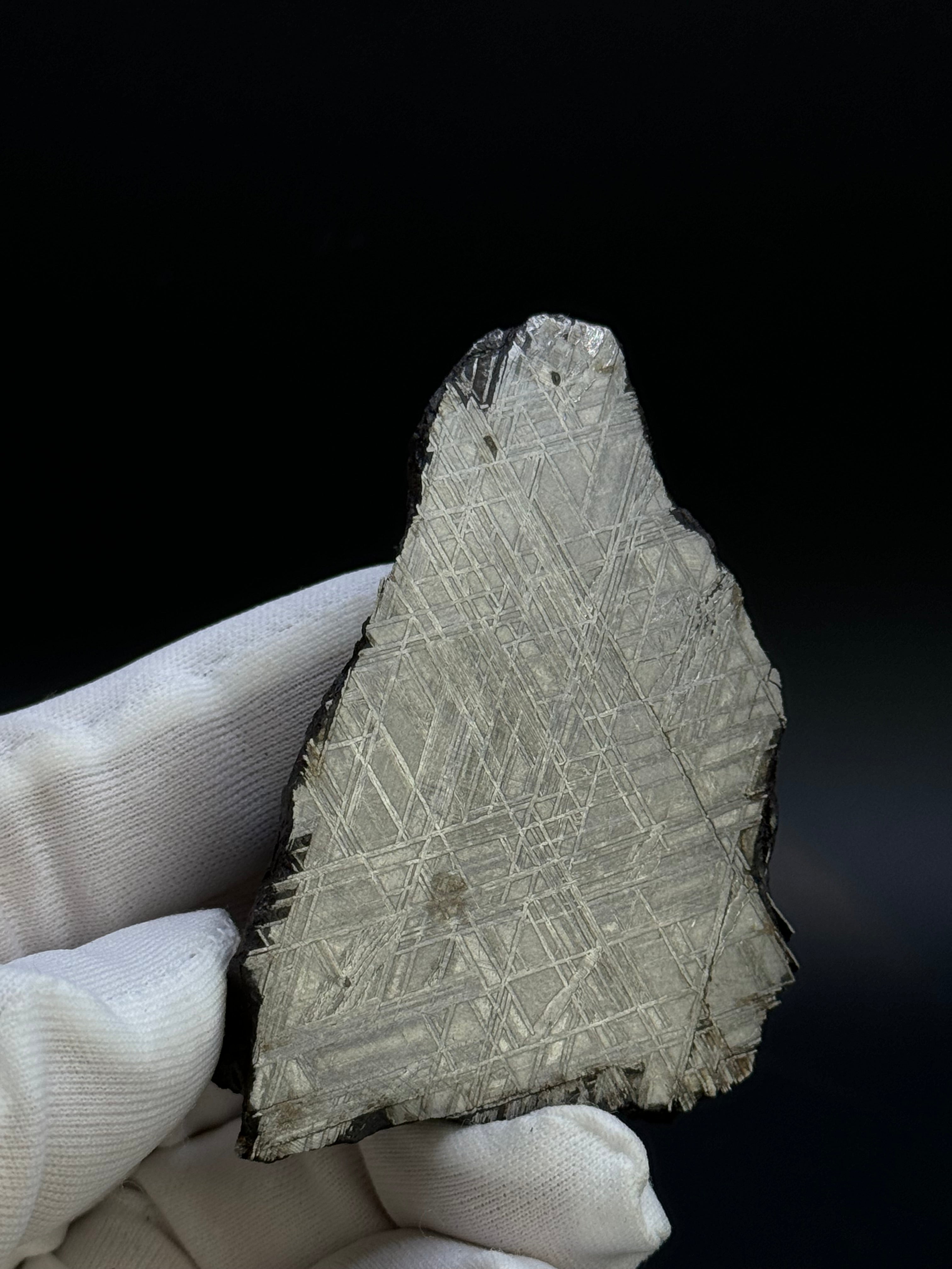 MUONIONALUSTA METEORITE, SWEDEN. 226 GRAMS END-CUT.