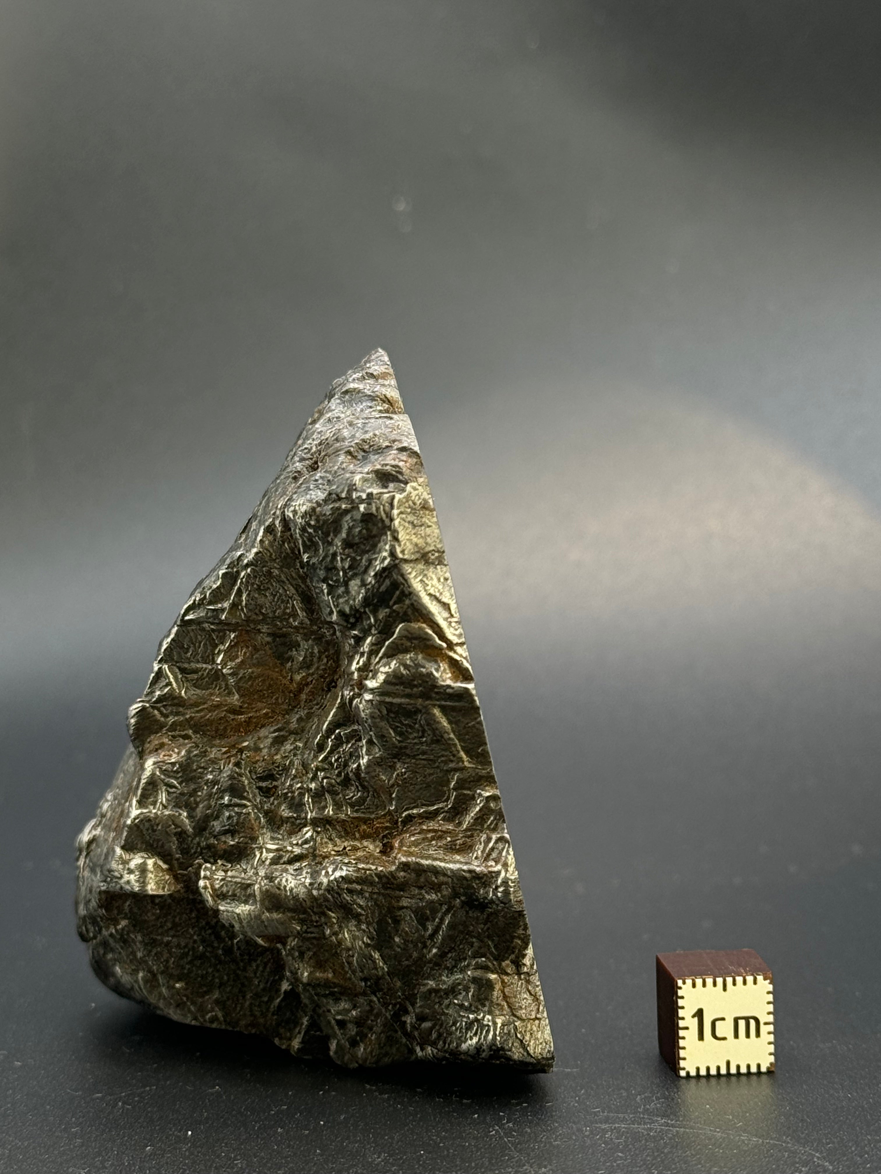 MUONIONALUSTA METEORITE, SWEDEN. 701 GRAMS END-CUT.