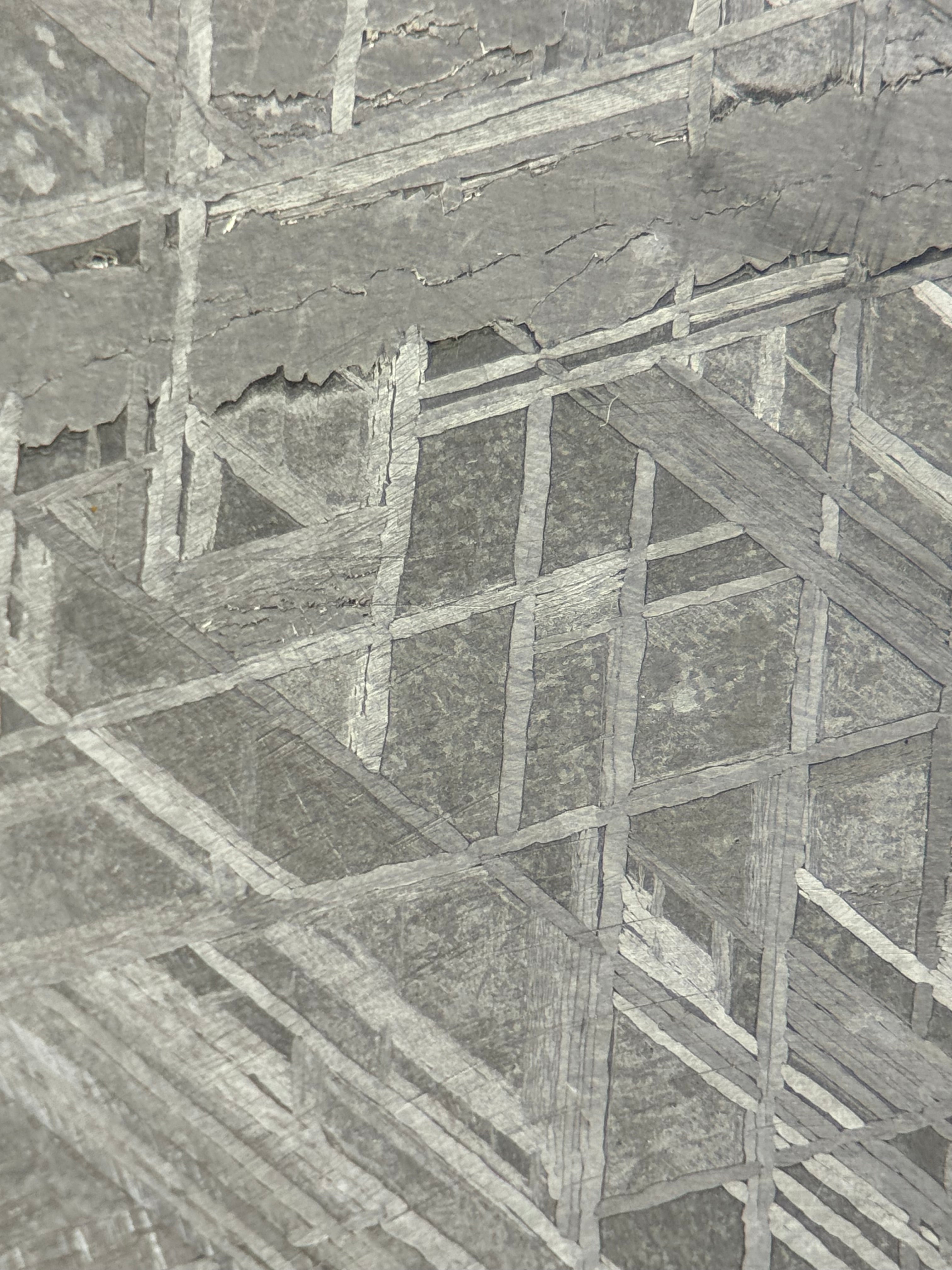 MUONIONALUSTA METEORITE, SWEDEN. 75,91 GRAMS.