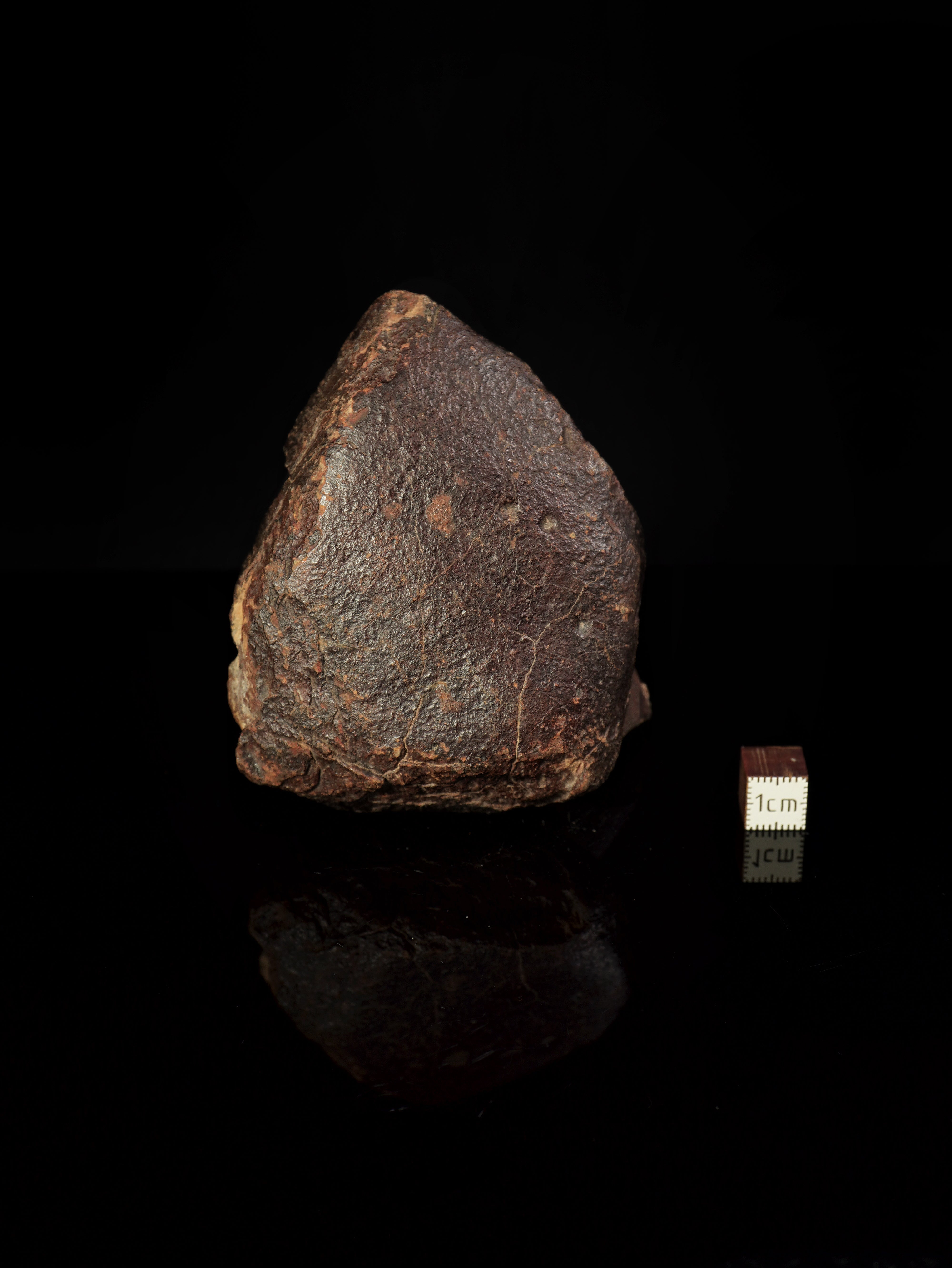 CHONDRITE METEORITE, NORTH WEST AFRICA. 232 GRAMS.