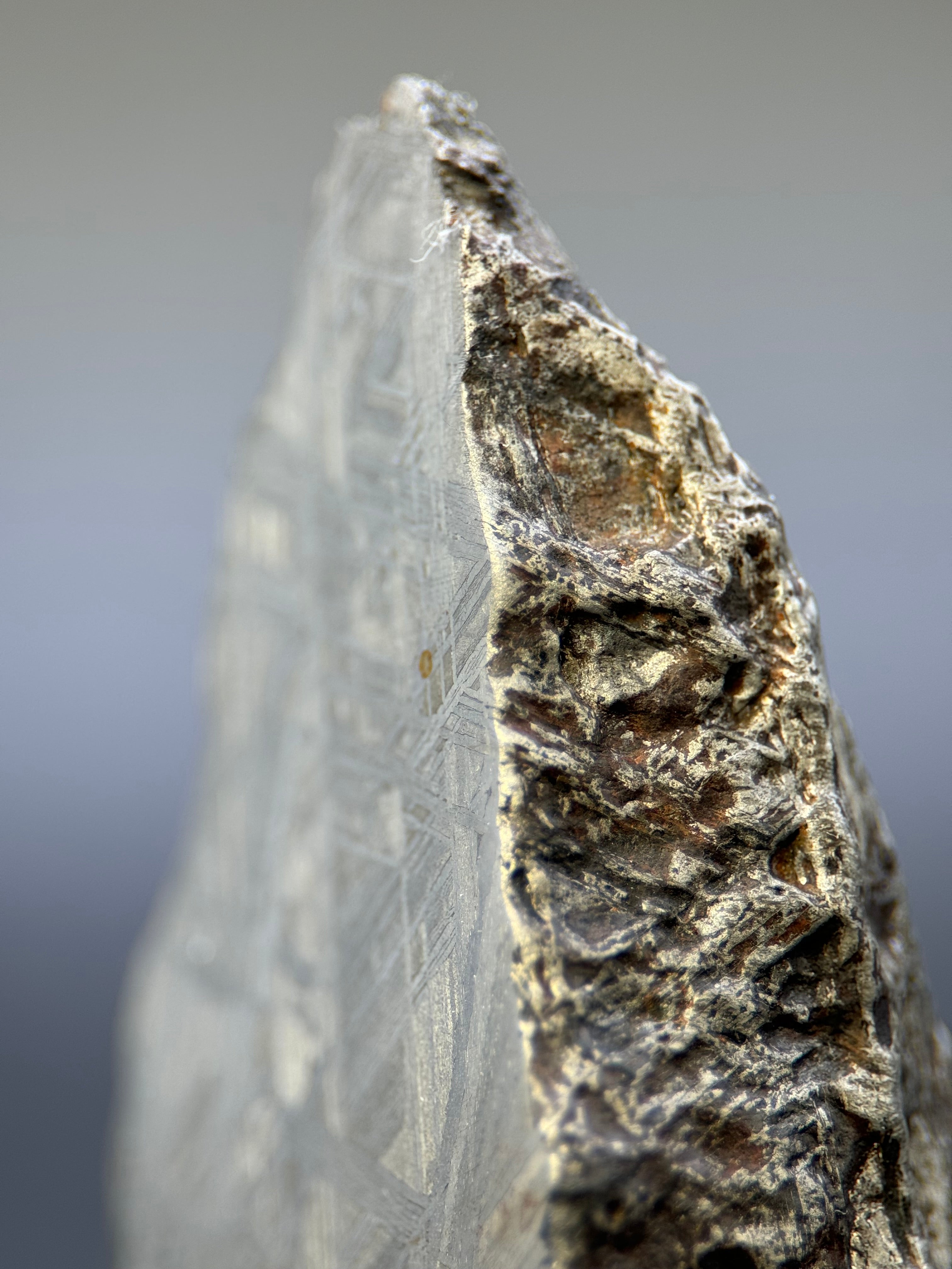 MUONIONALUSTA METEORITE, SWEDEN. 129,8 GRAMS END-CUT